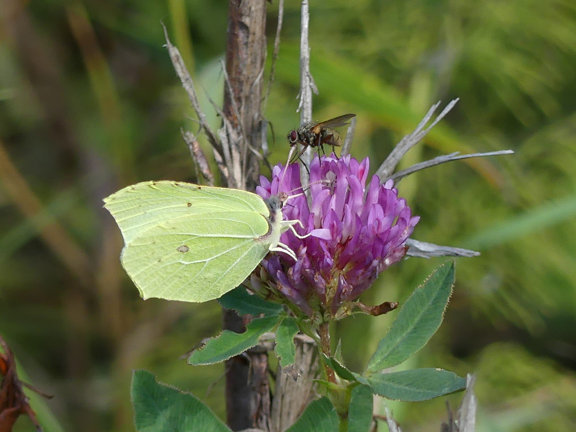 Valokuvaaja: Raili Paavola