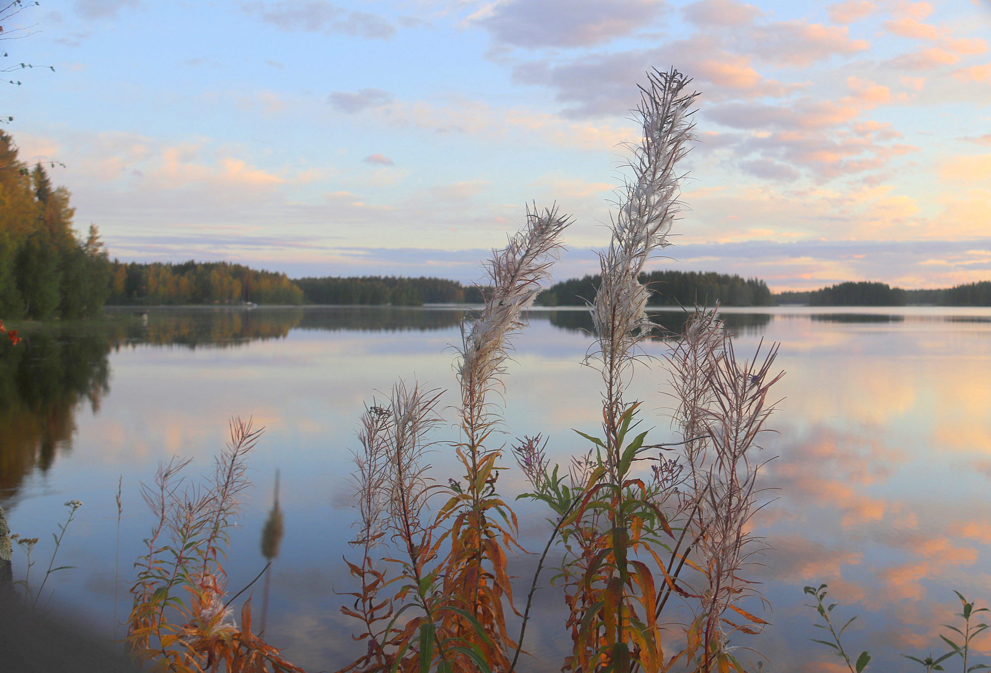 Valokuvaaja: sirpa Jyske