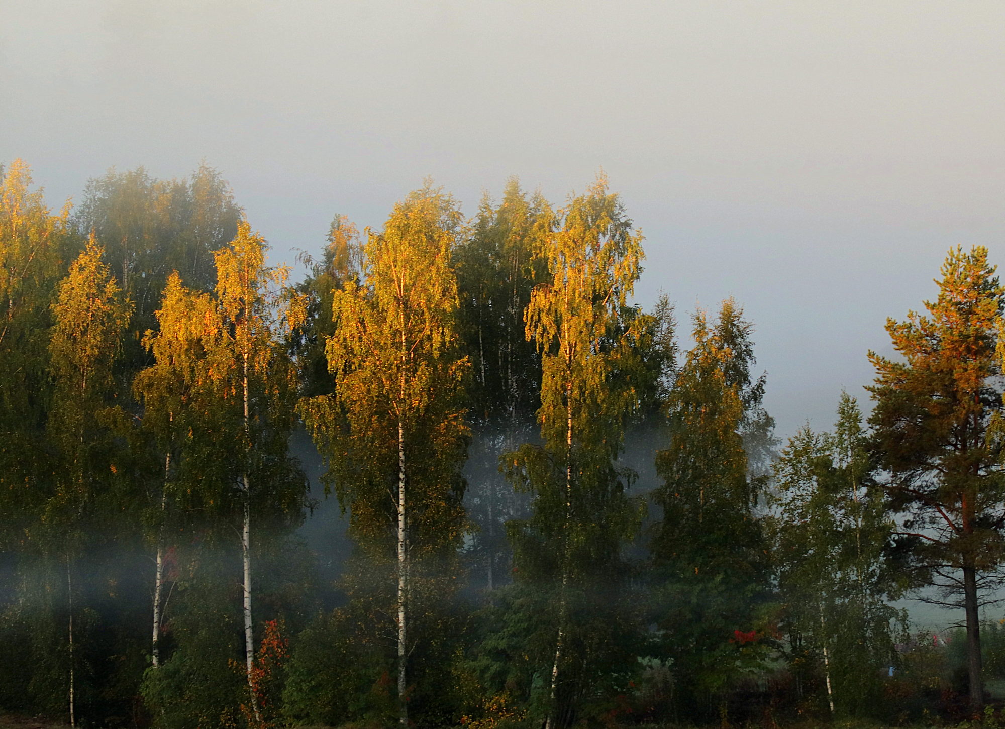 Valokuvaaja: sirpa Jyske348 Valokuvaaja: sirpa Jyske348