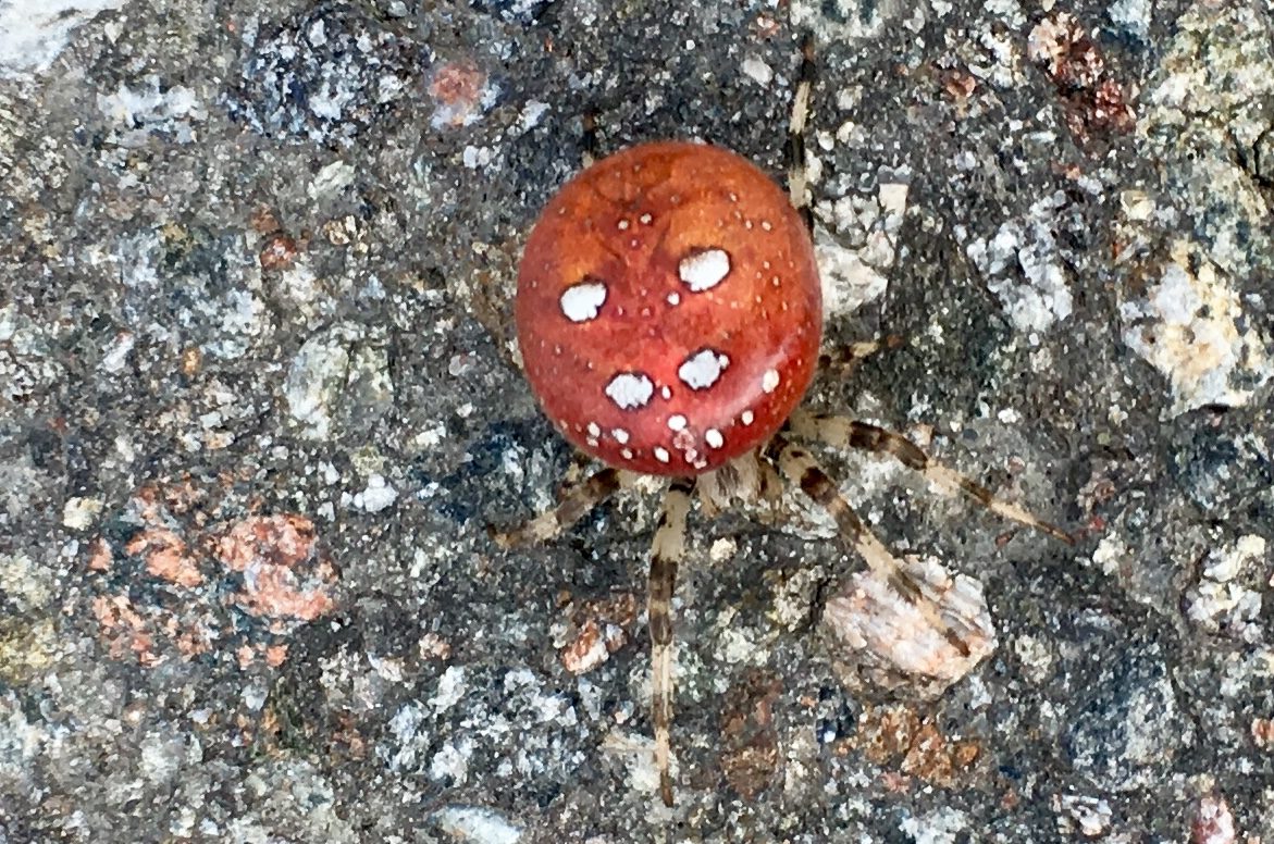 Valokuvaaja: Tero Viitanen