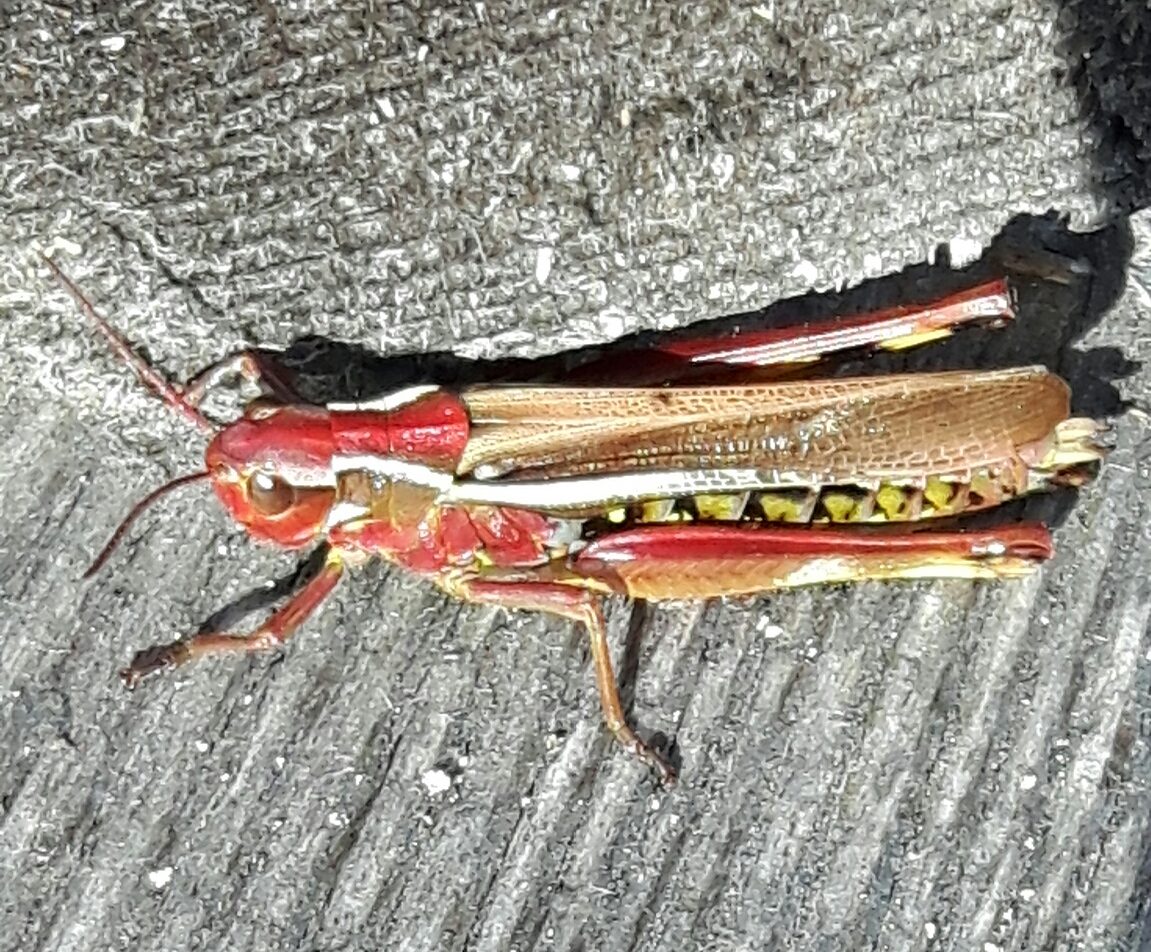 Valokuvaaja: Jussi valtonen