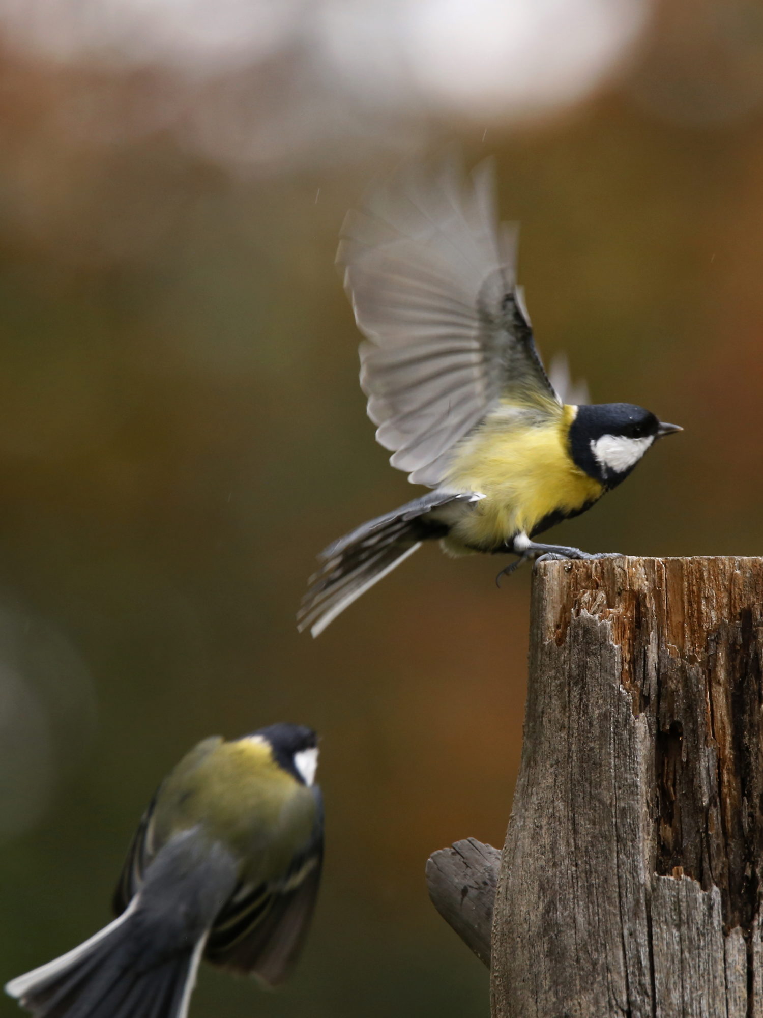 Valokuvaaja: Anne Moilanen