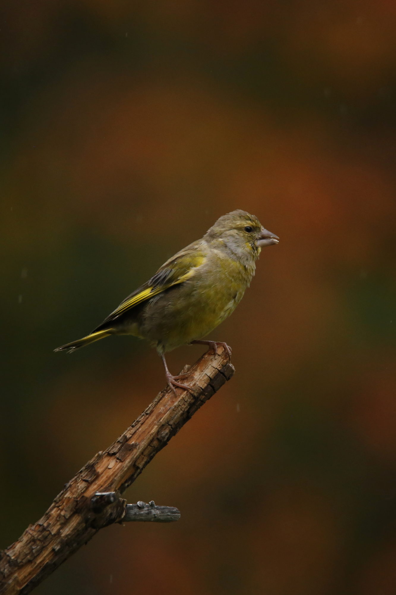 Valokuvaaja: Anne Moilanen