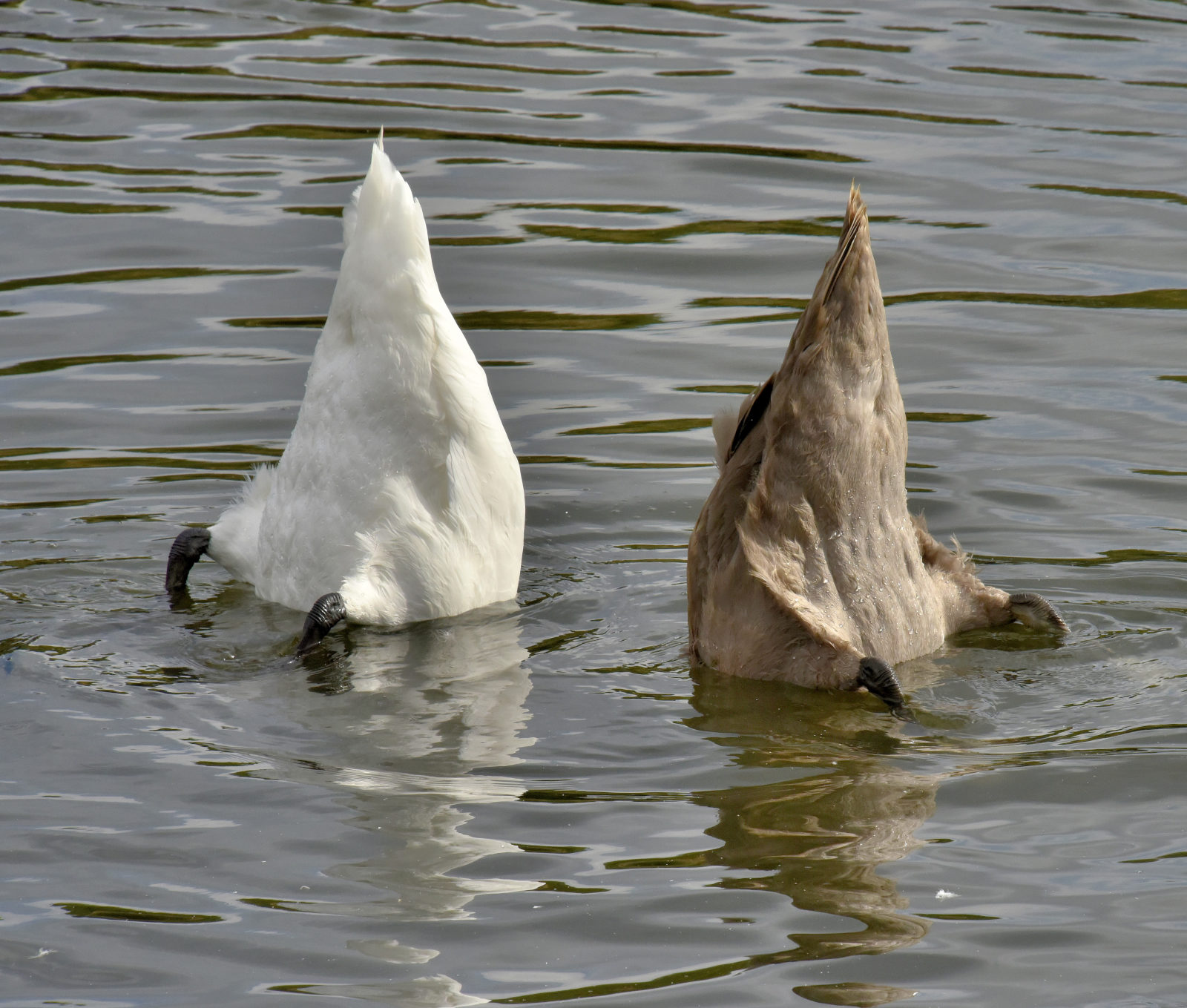 Valokuvaaja: Reijo Juurinen
