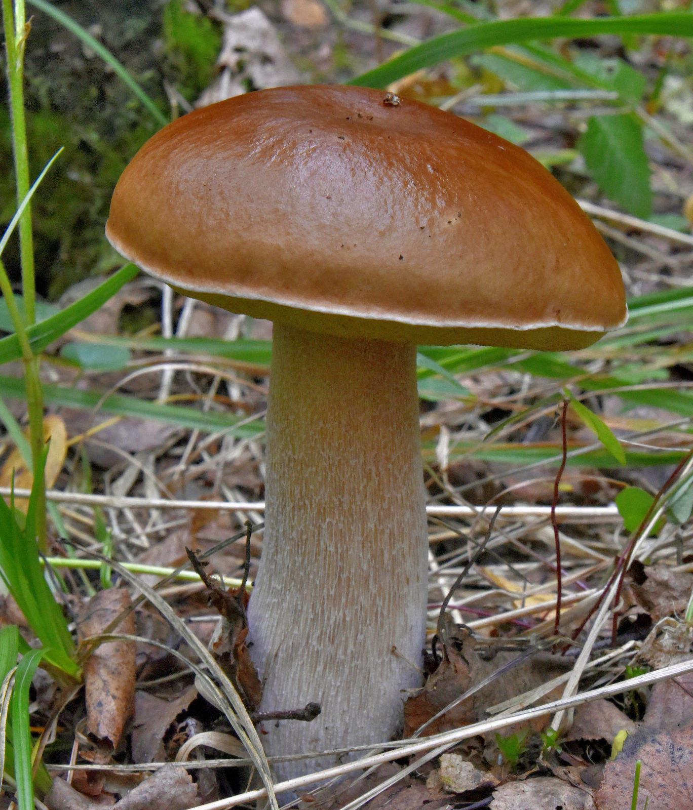 Valokuvaaja: Reijo Juurinen