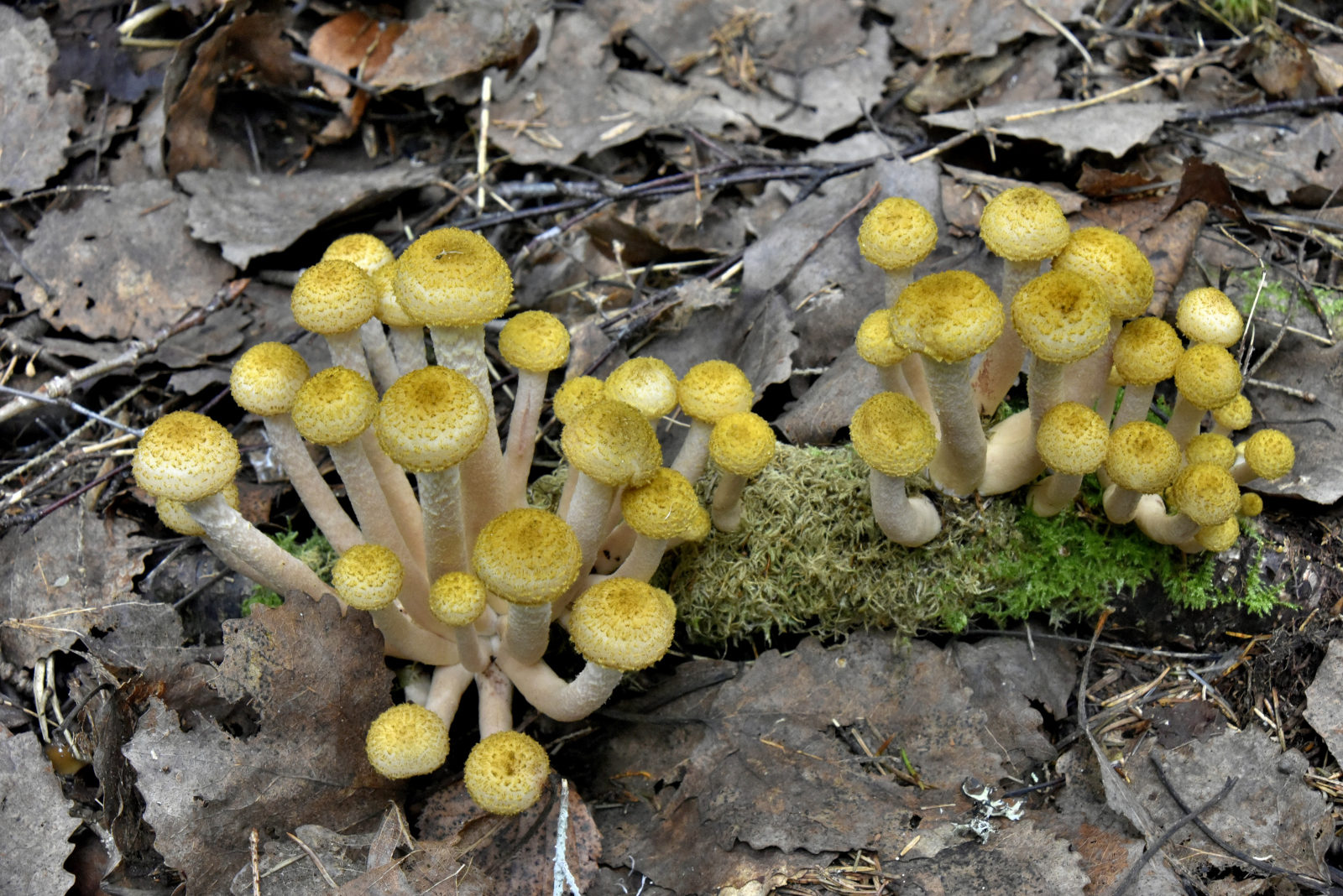 Valokuvaaja: Reijo Juurinen