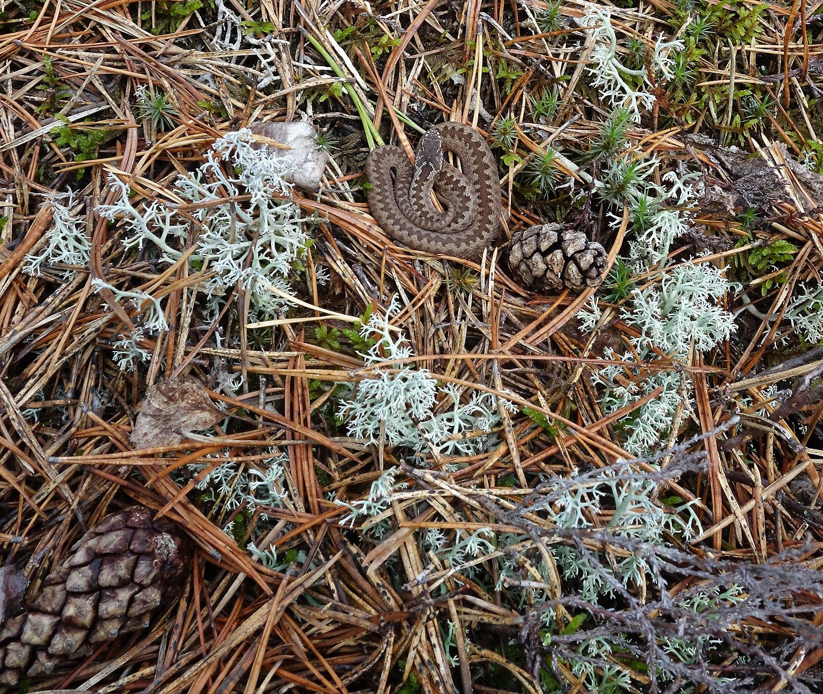 Valokuvaaja: Kaarina Heiskanen