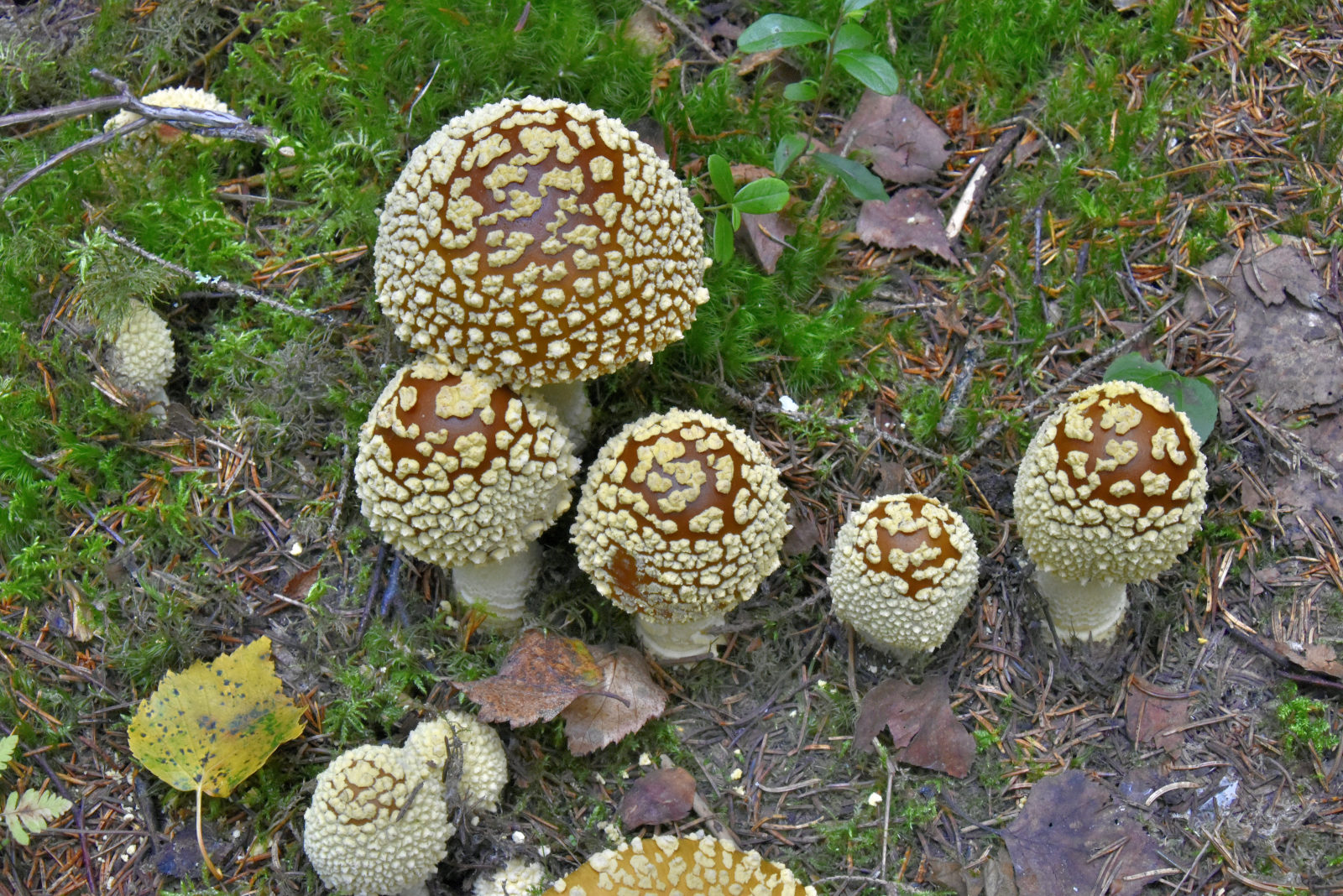 Valokuvaaja: Reijo Juurinen