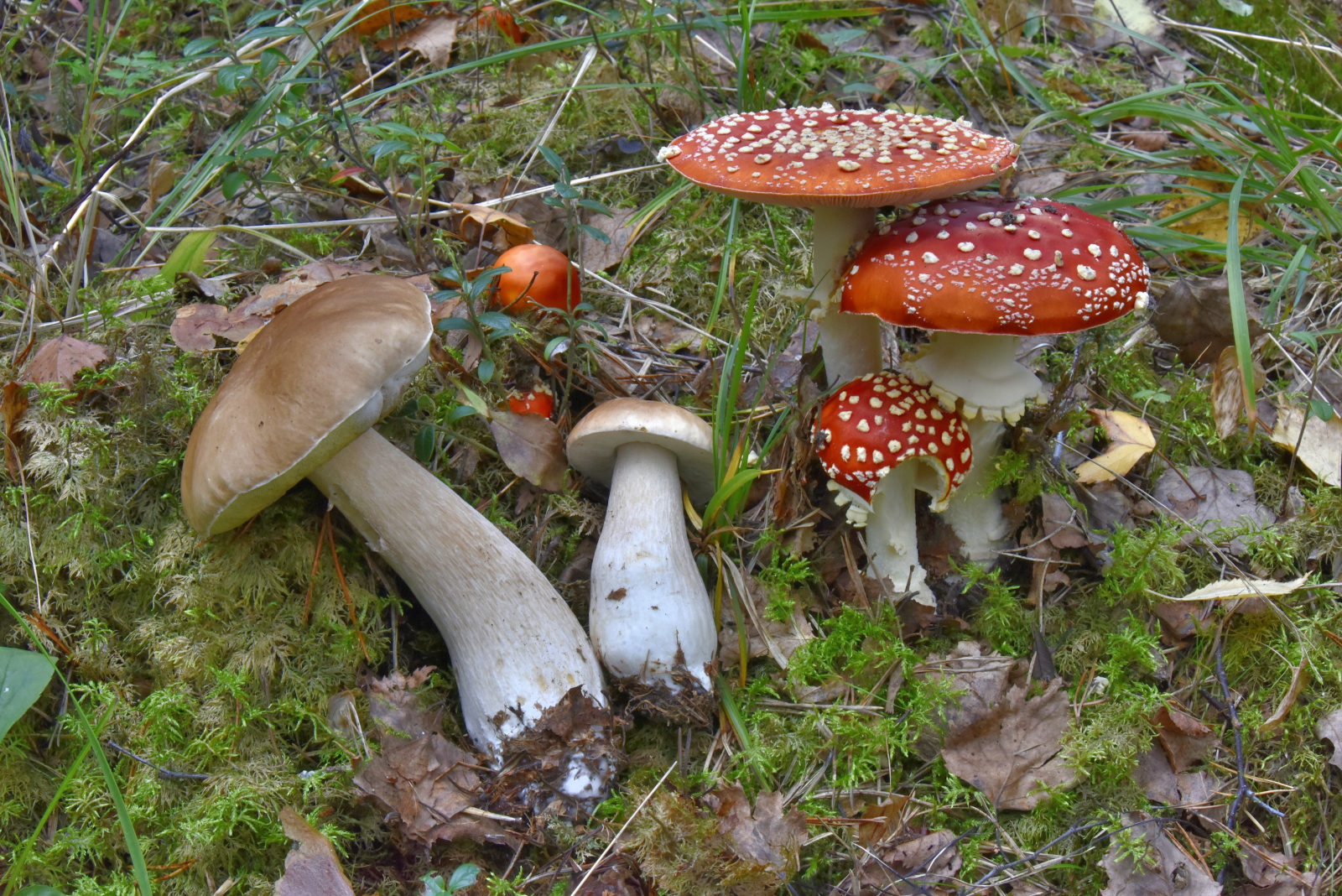 Valokuvaaja: Reijo Juurinen