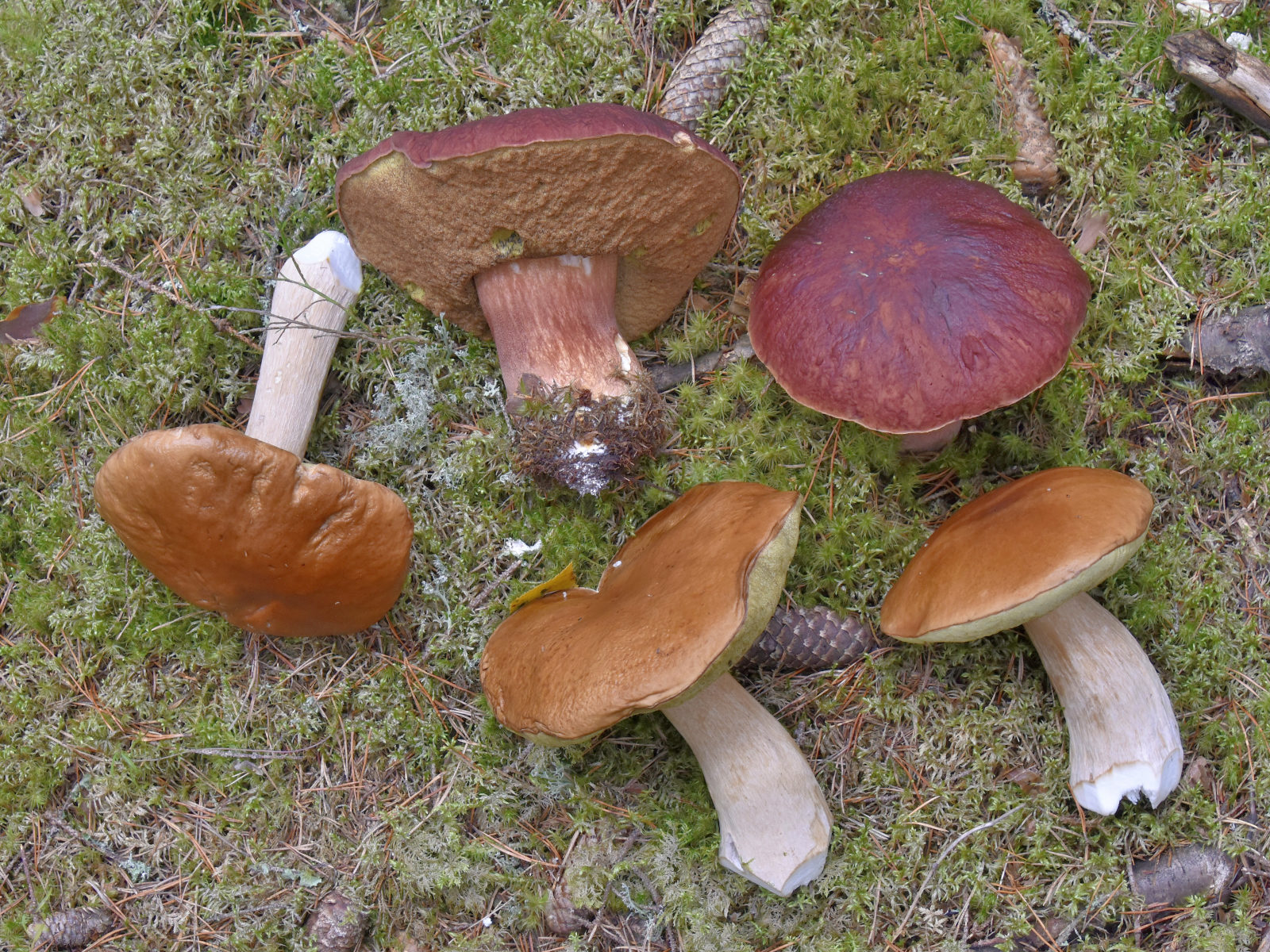 Valokuvaaja: Reijo Juurinen