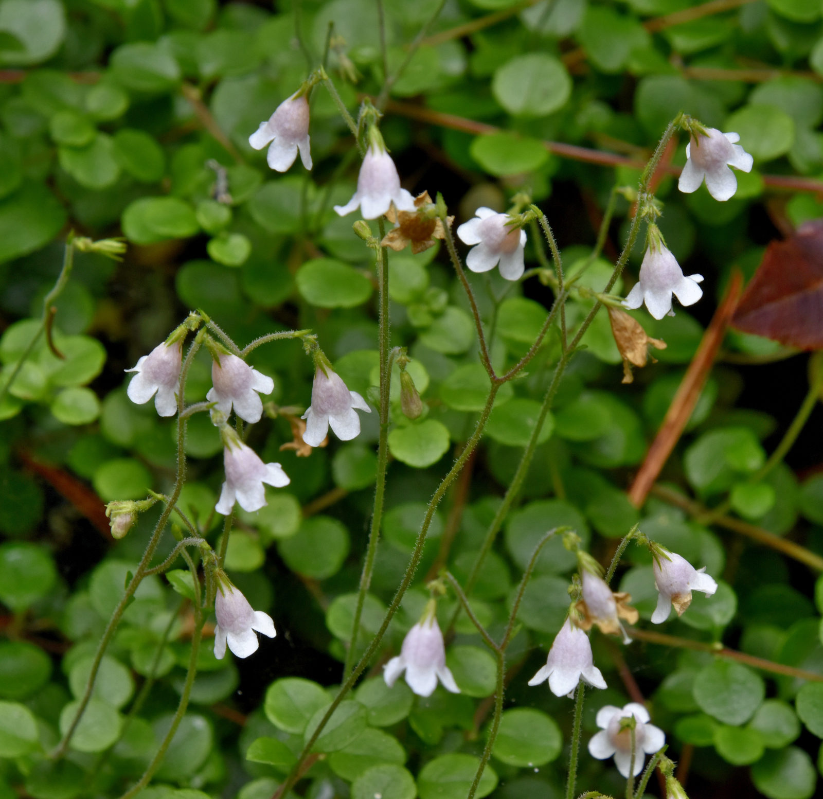 Valokuvaaja: Reijo Juurinen