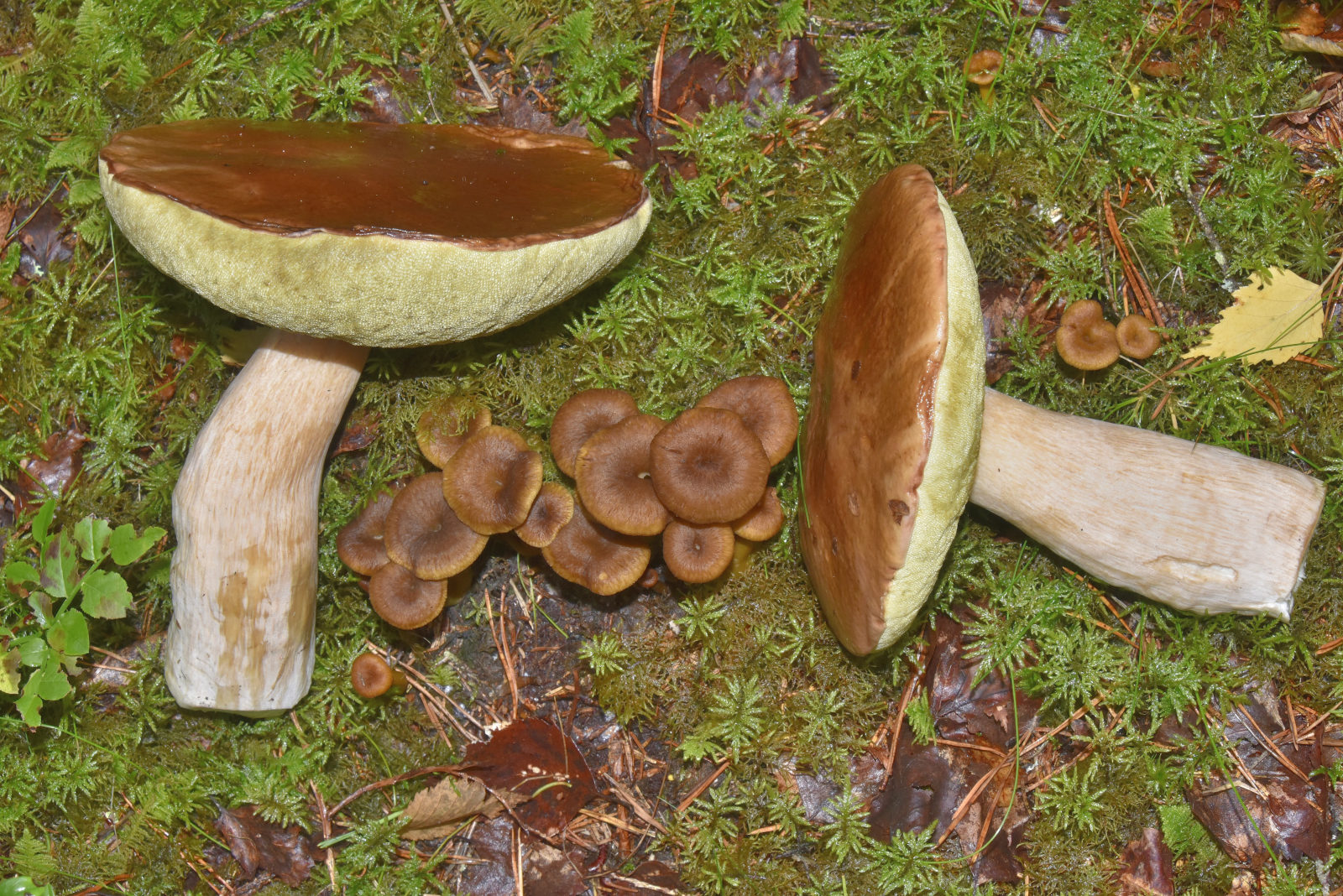 Valokuvaaja: Reijo Juurinen