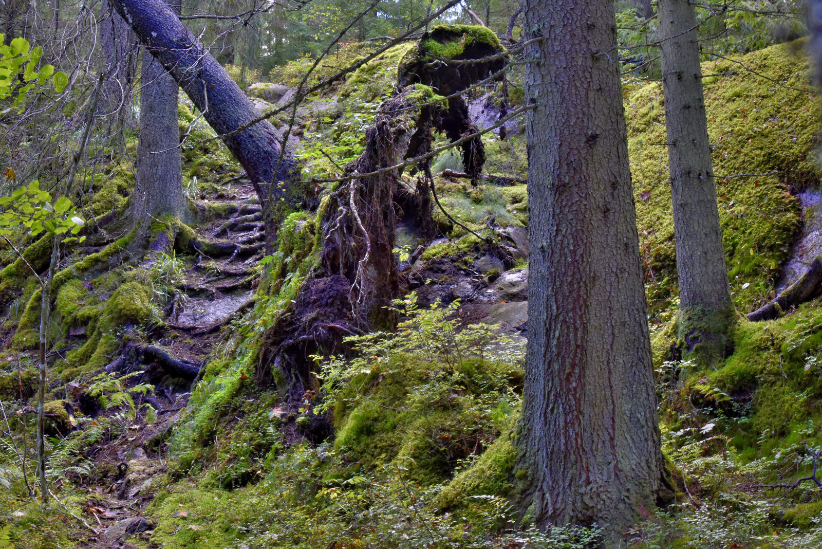 Valokuvaaja: Reijo Juurinen