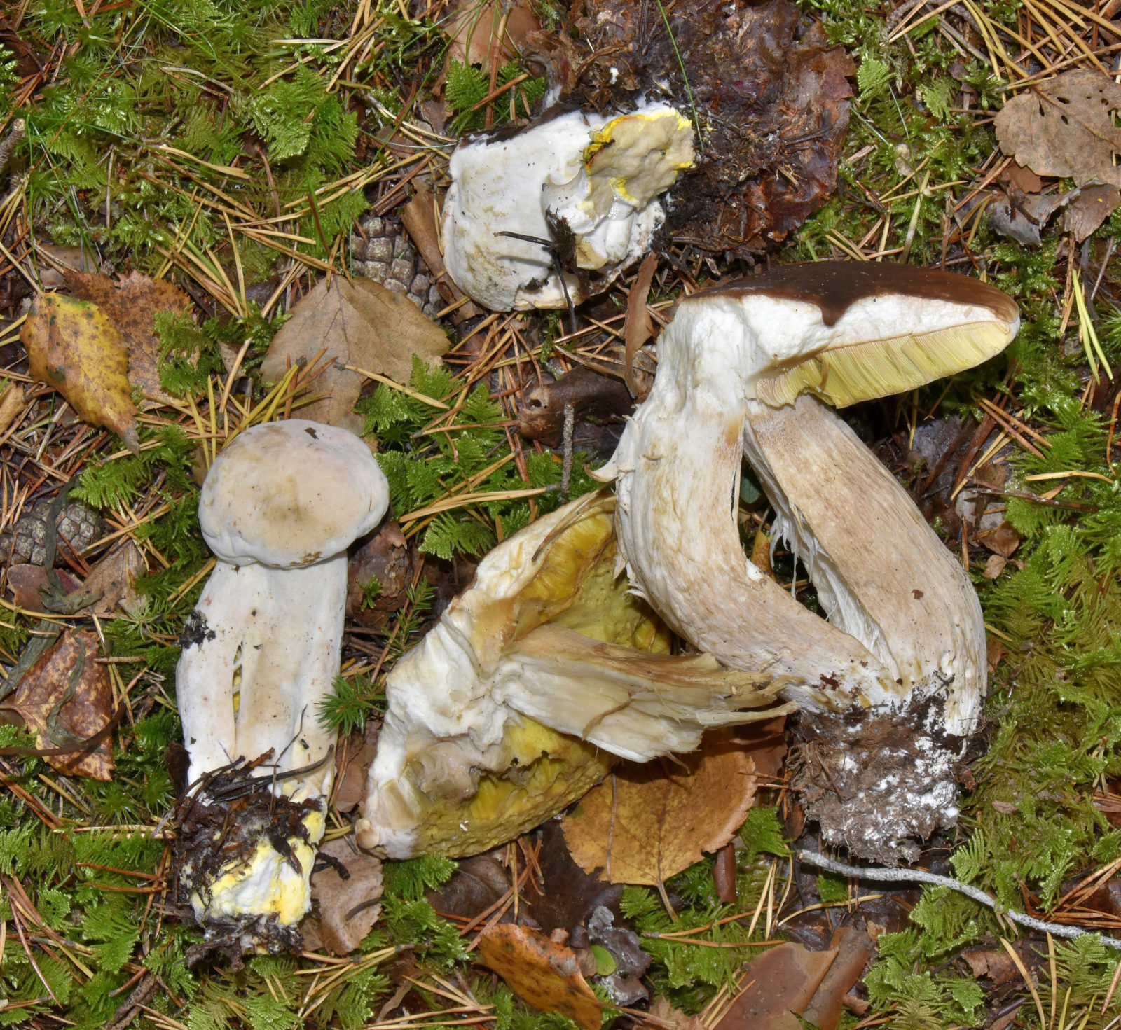 Valokuvaaja: Reijo Juurinen