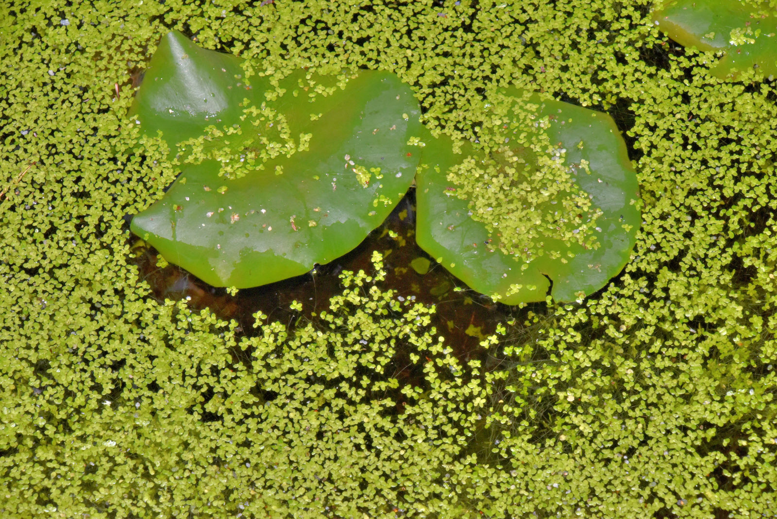 Valokuvaaja: Reijo Juurinen Valokuvaaja: Reijo Juurinen
