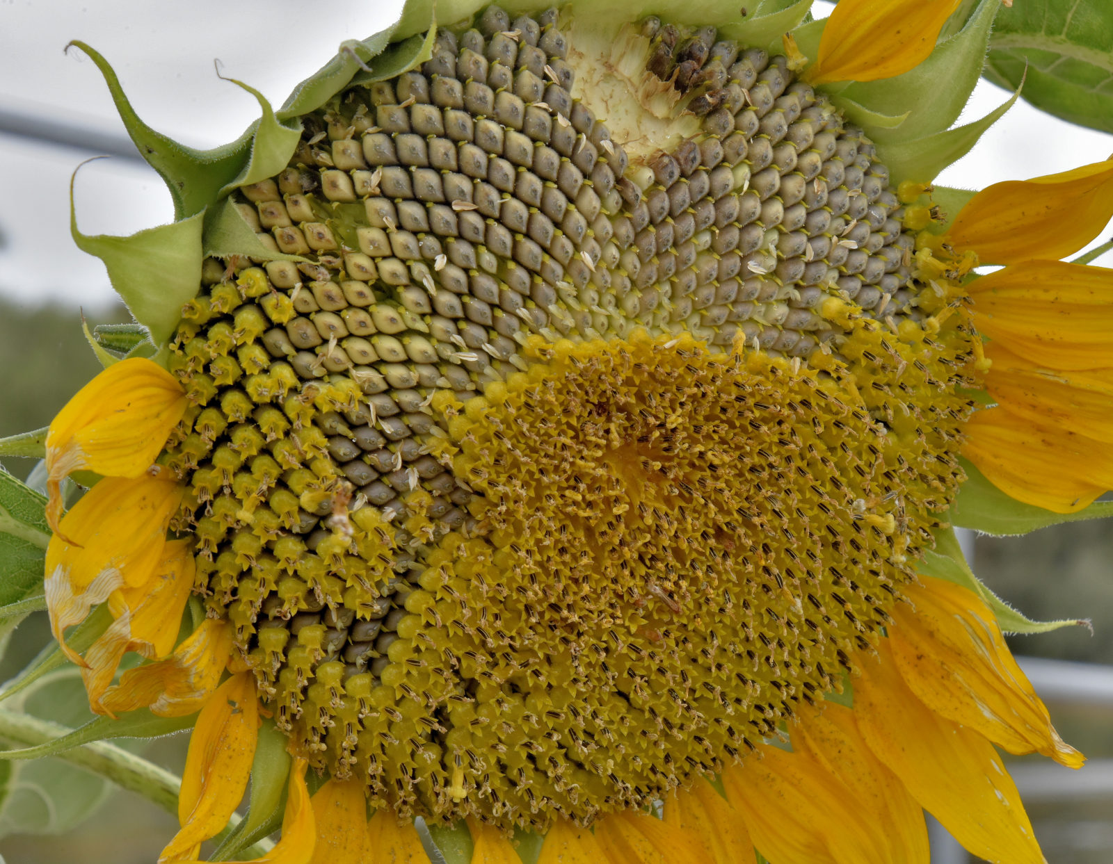 Valokuvaaja: Reijo Juurinen