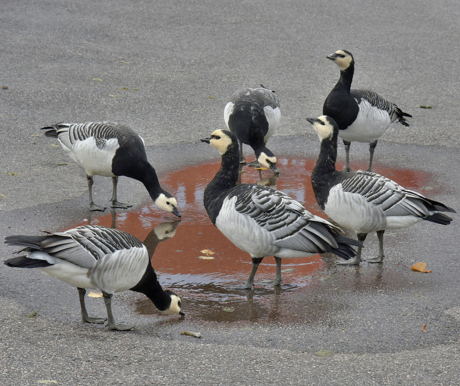 Valokuvaaja: Reijo Juurinen