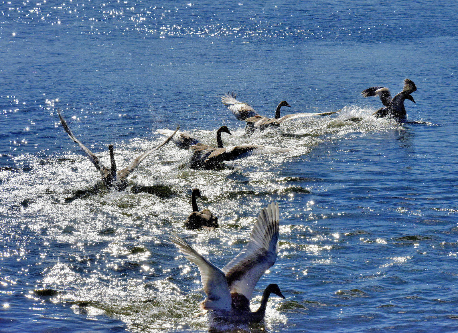 Valokuvaaja: Reijo Juurinen