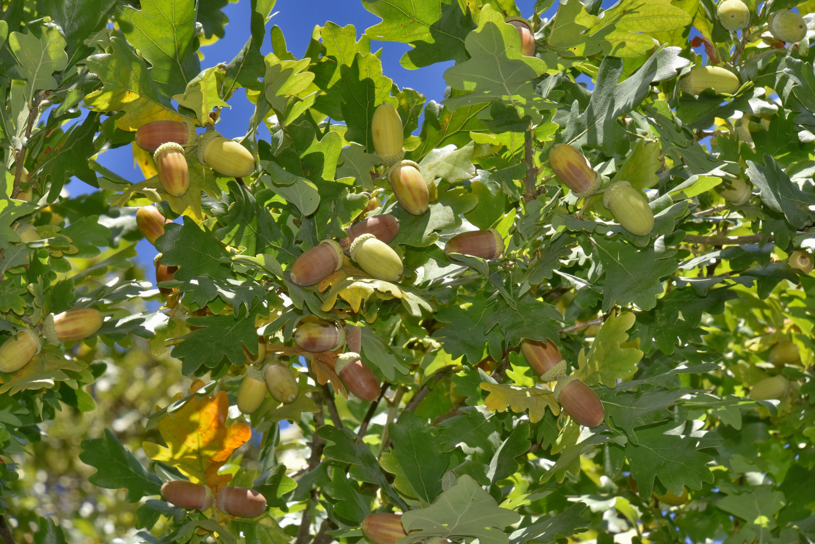 Valokuvaaja: Reijo Juurinen