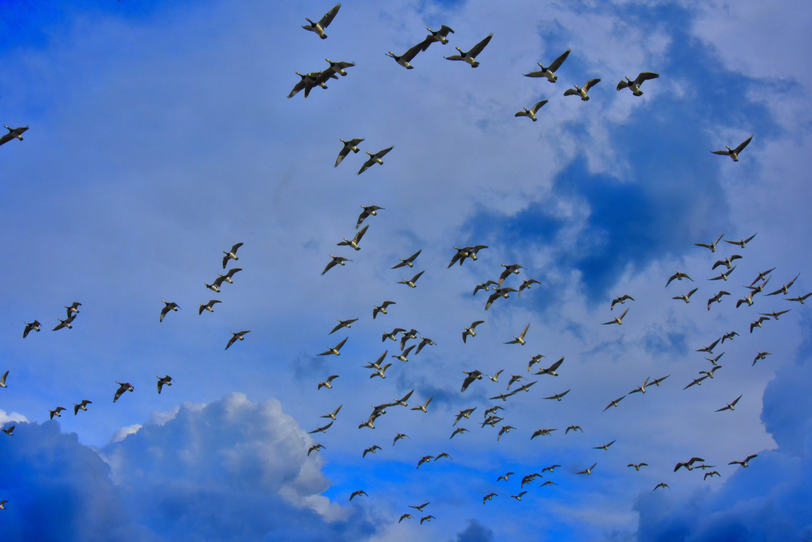 Valokuvaaja: Reijo Juurinen