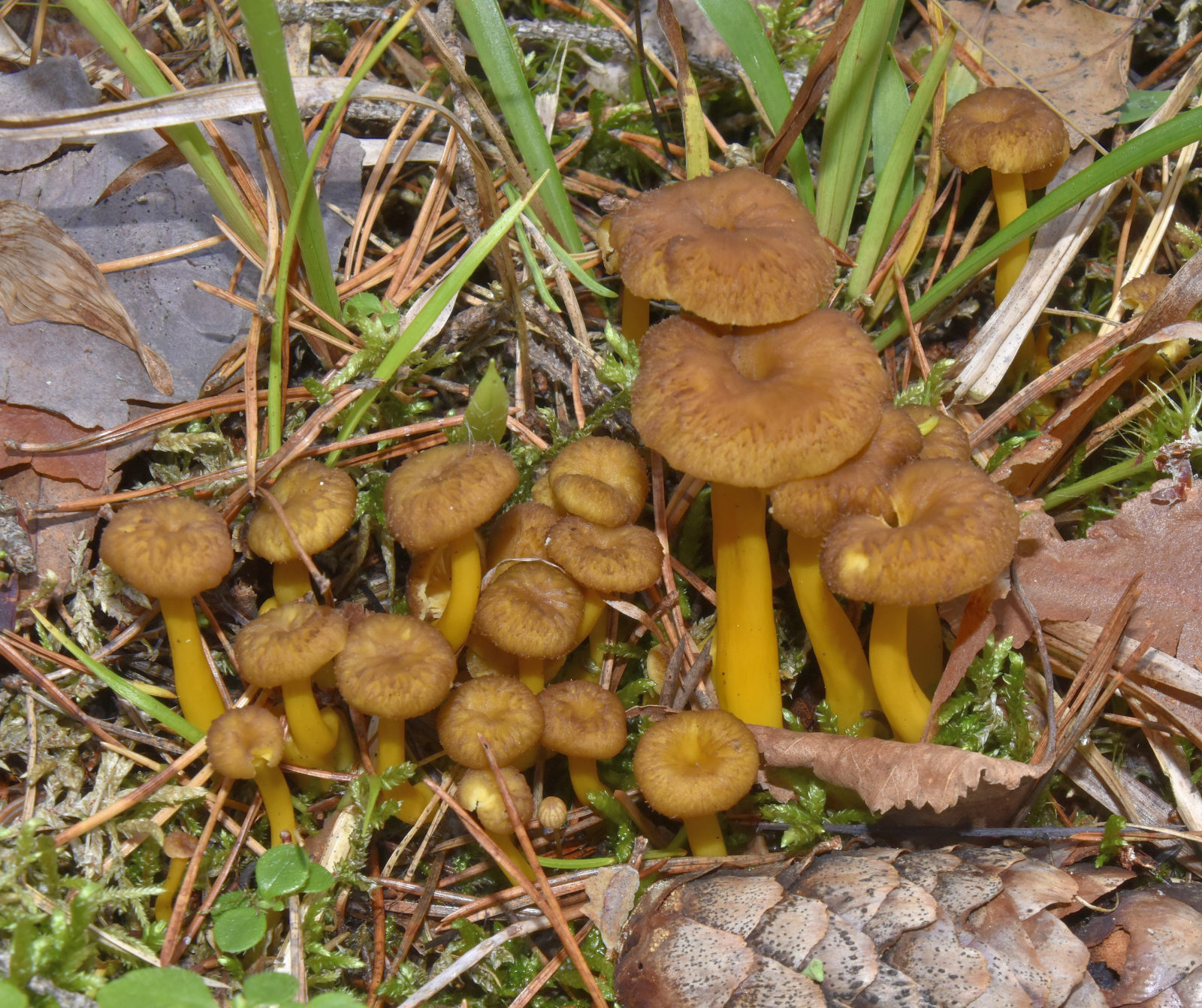 Valokuvaaja: Reijo Juurinen