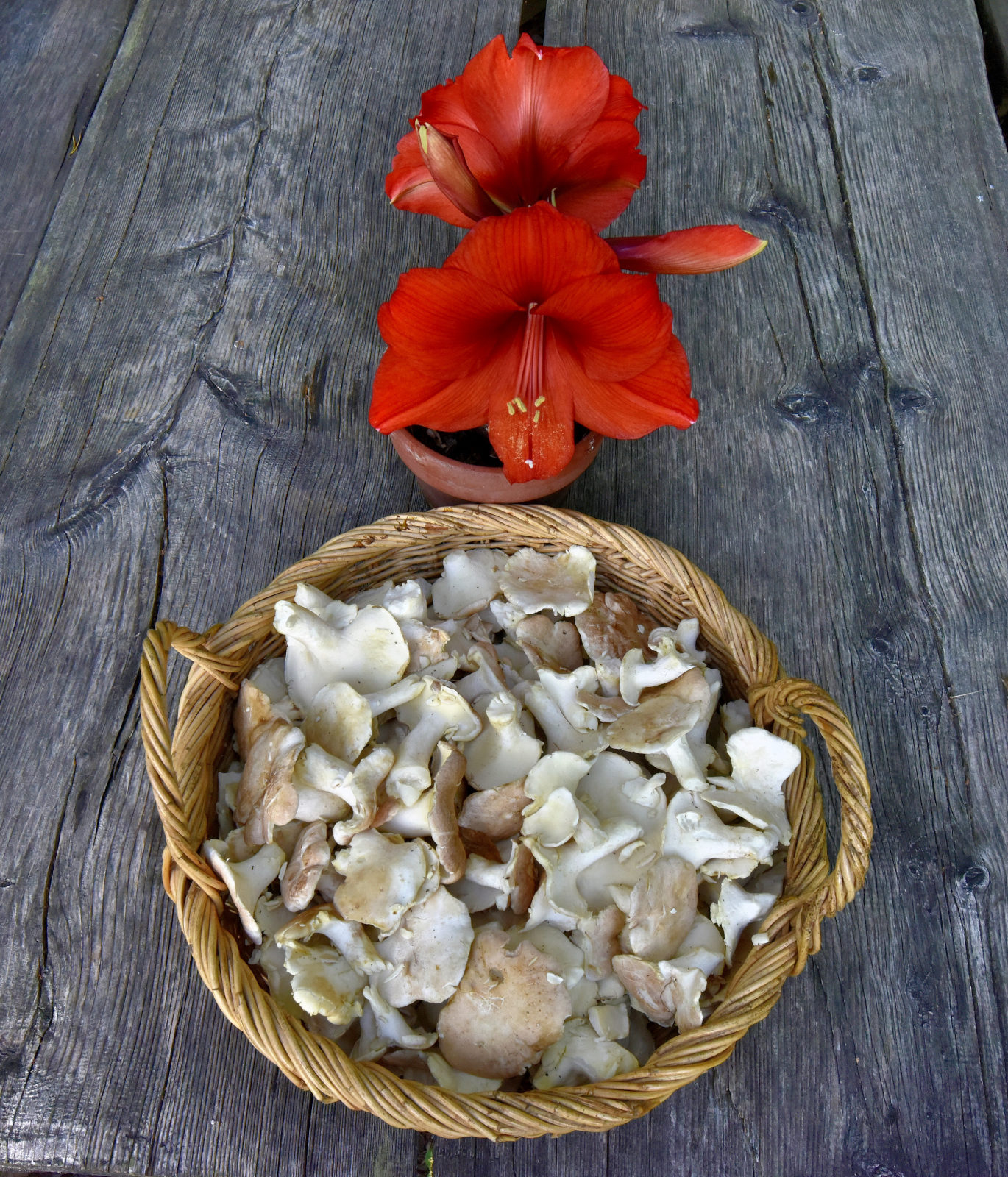 Valokuvaaja: Reijo Juurinen