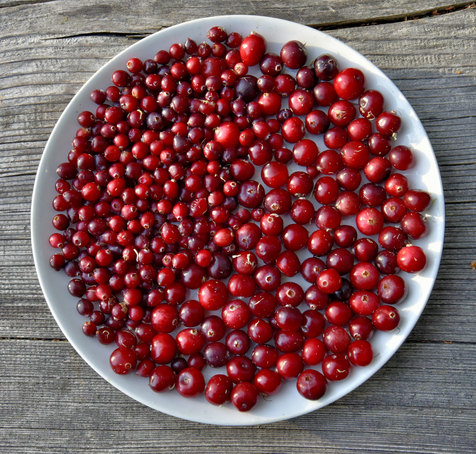 Valokuvaaja: Reijo Juurinen