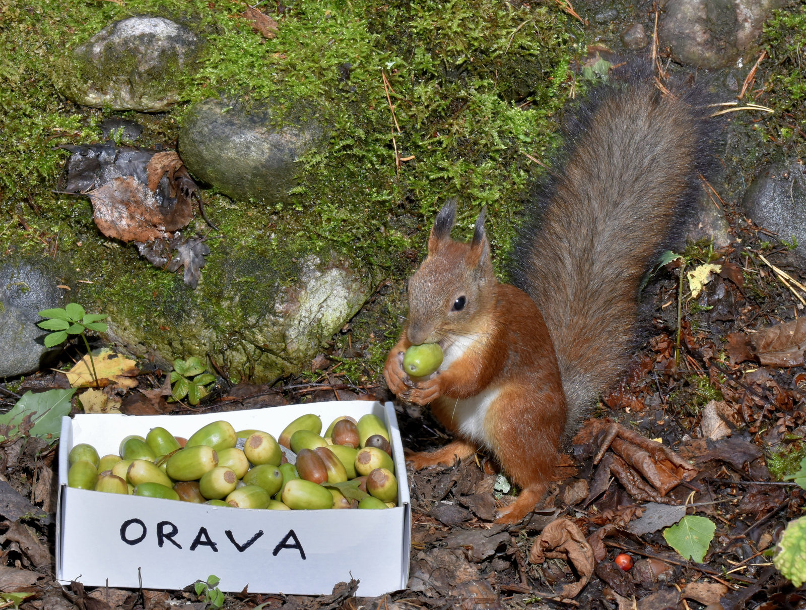 Valokuvaaja: Reijo Juurinen