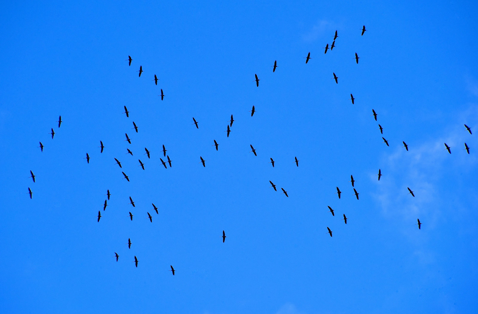 Valokuvaaja: Reijo Juurinen