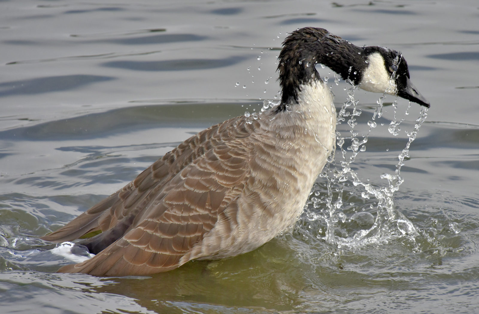 Valokuvaaja: Reijo Juurinen
