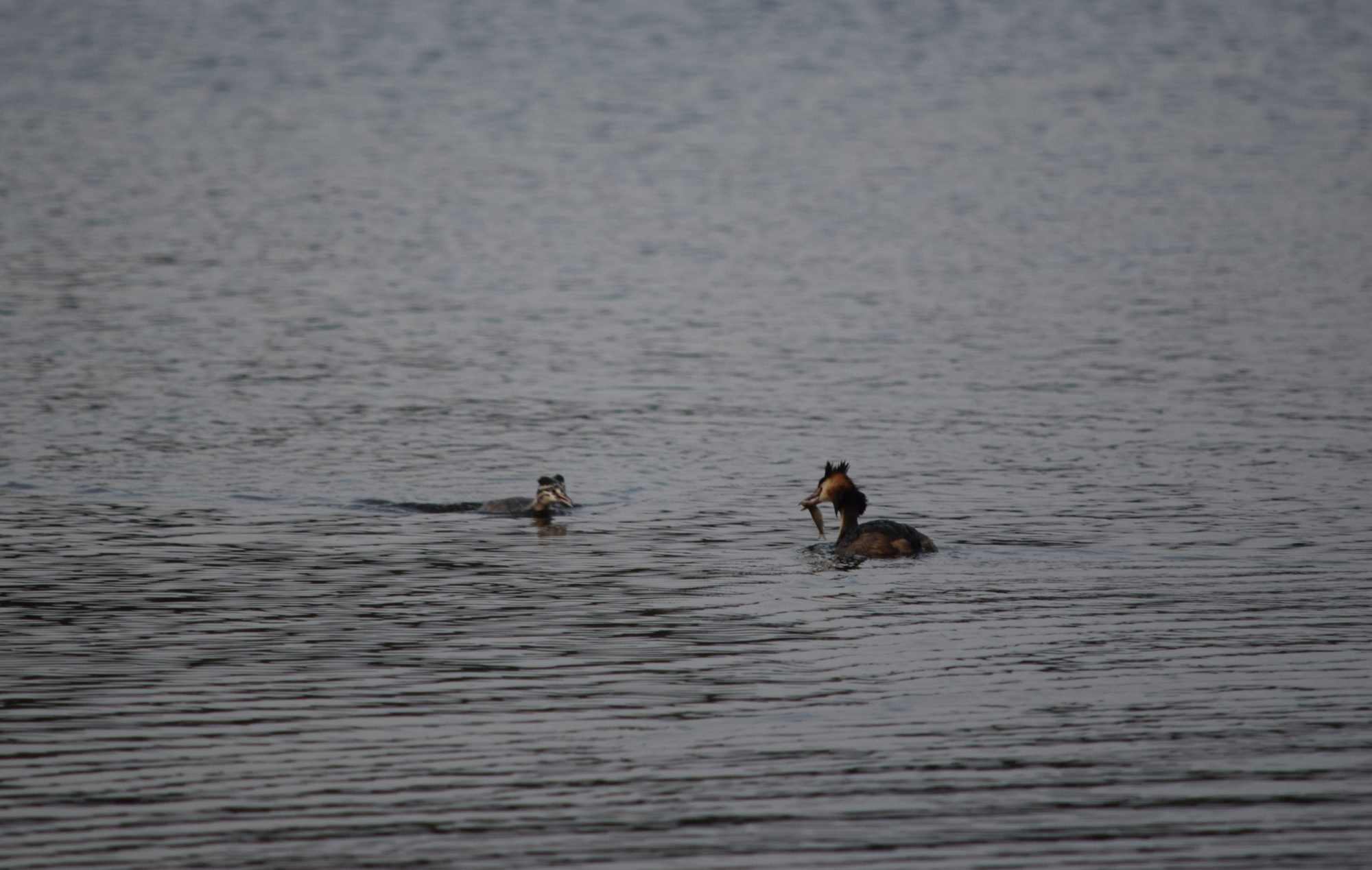Valokuvaaja: Riitta Marjamäki