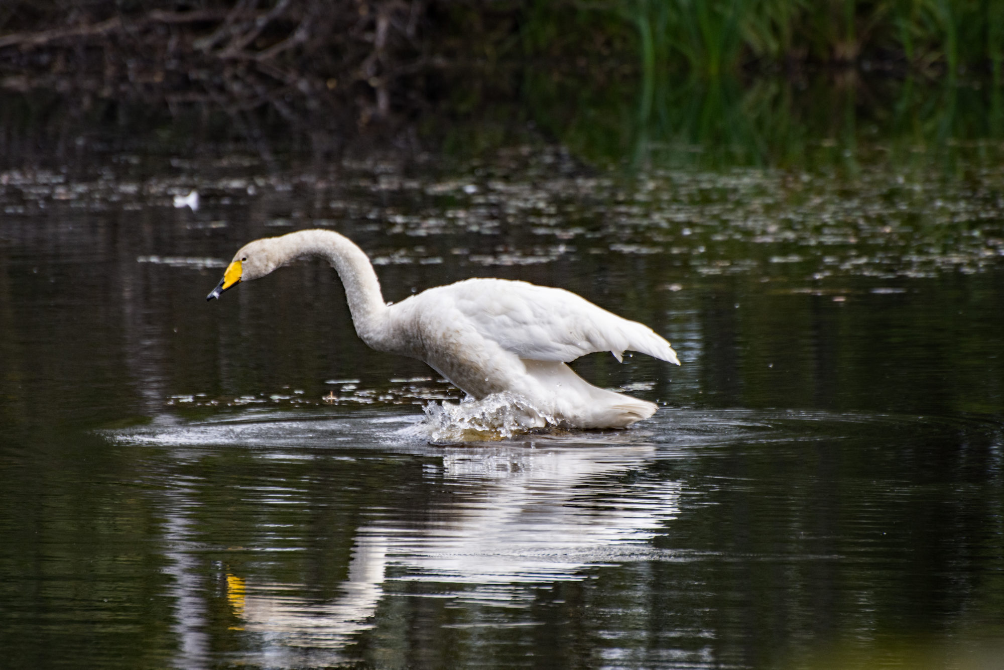 Valokuvaaja: Paavo Siukonen