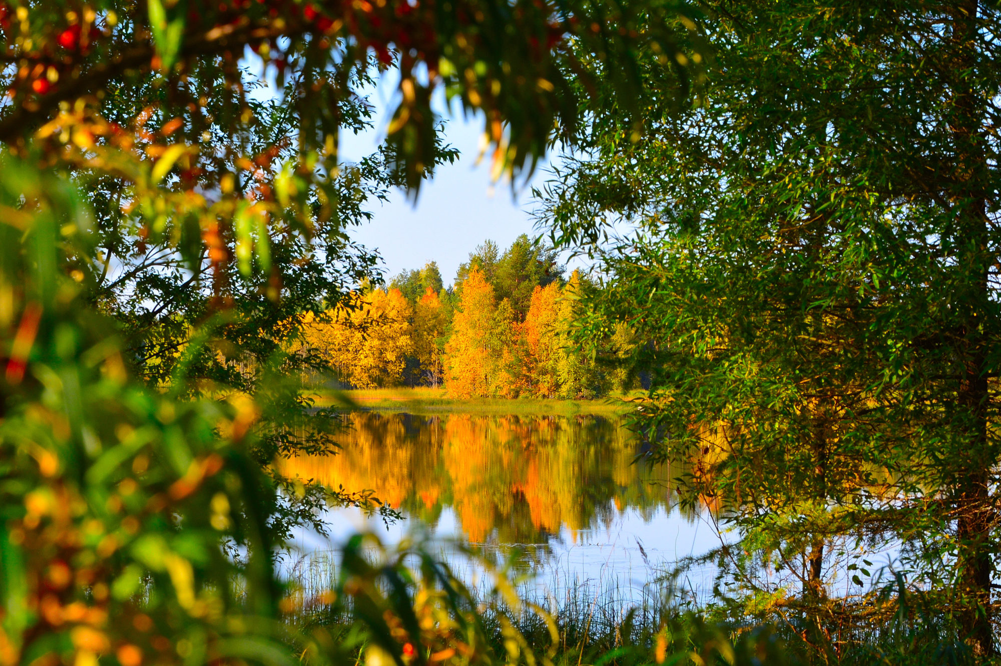 Valokuvaaja: Vesa Hiltunen