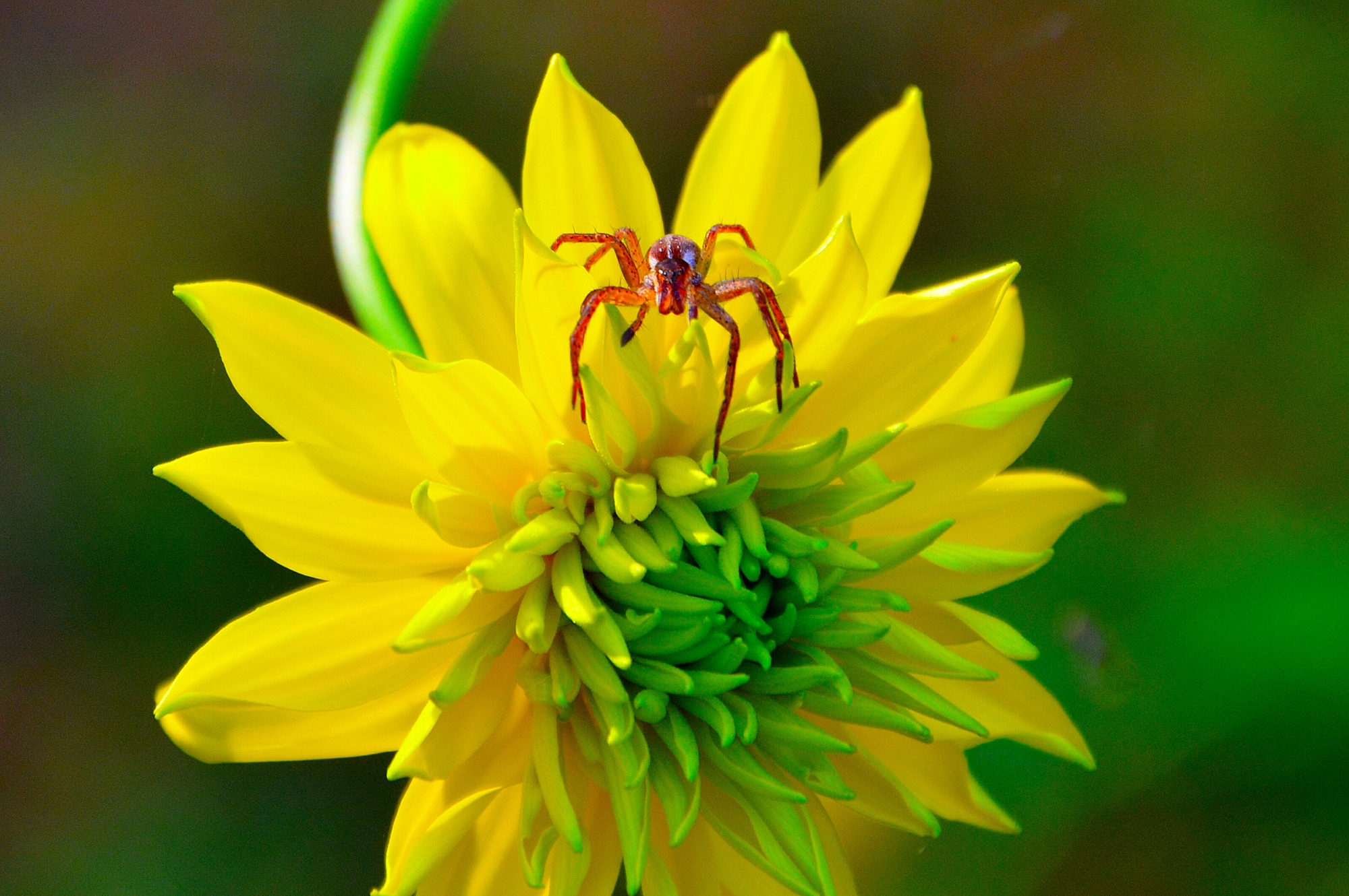 Valokuvaaja: Vesa Hiltunen