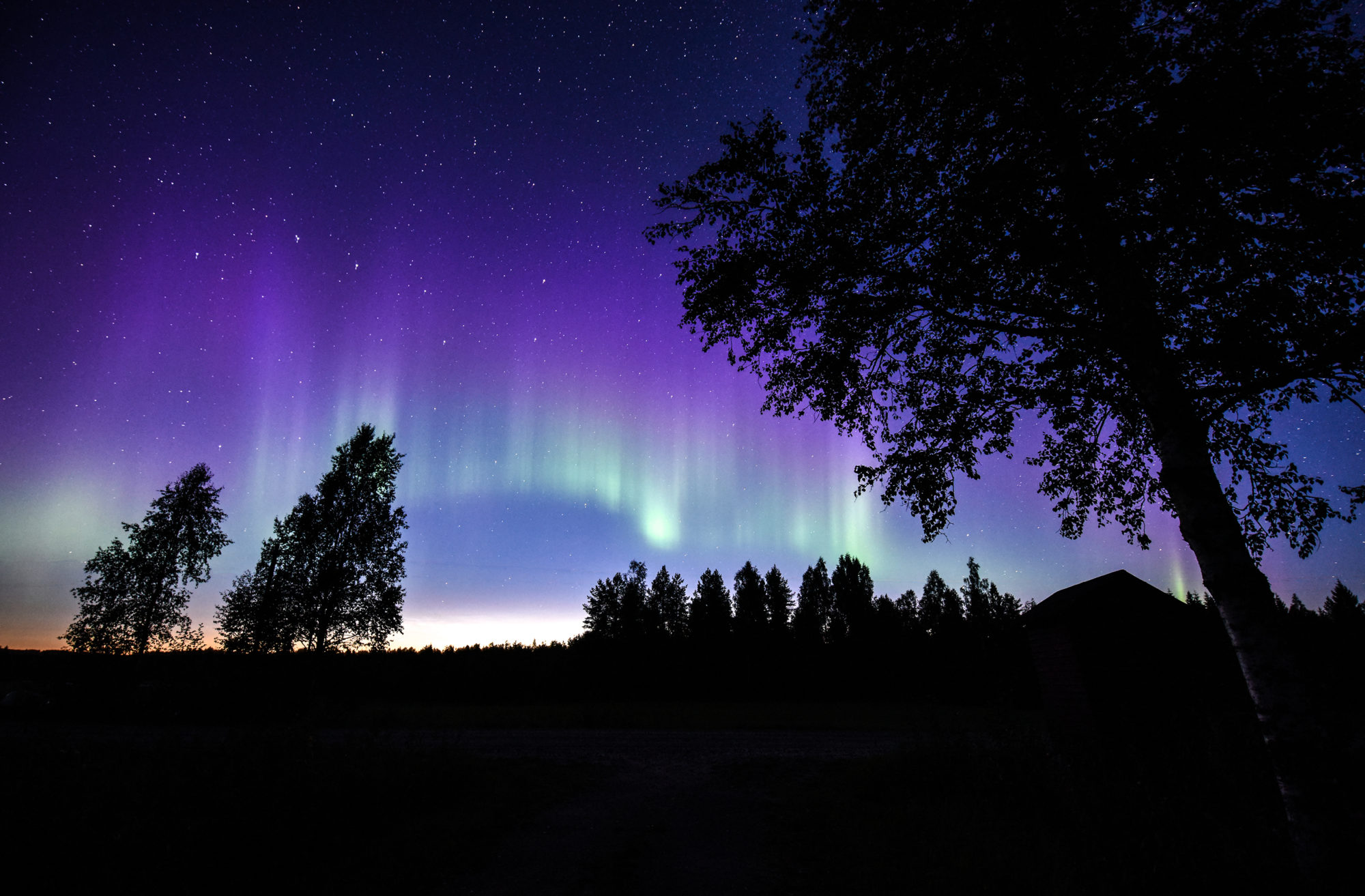 Valokuvaaja: Maija Savolainen