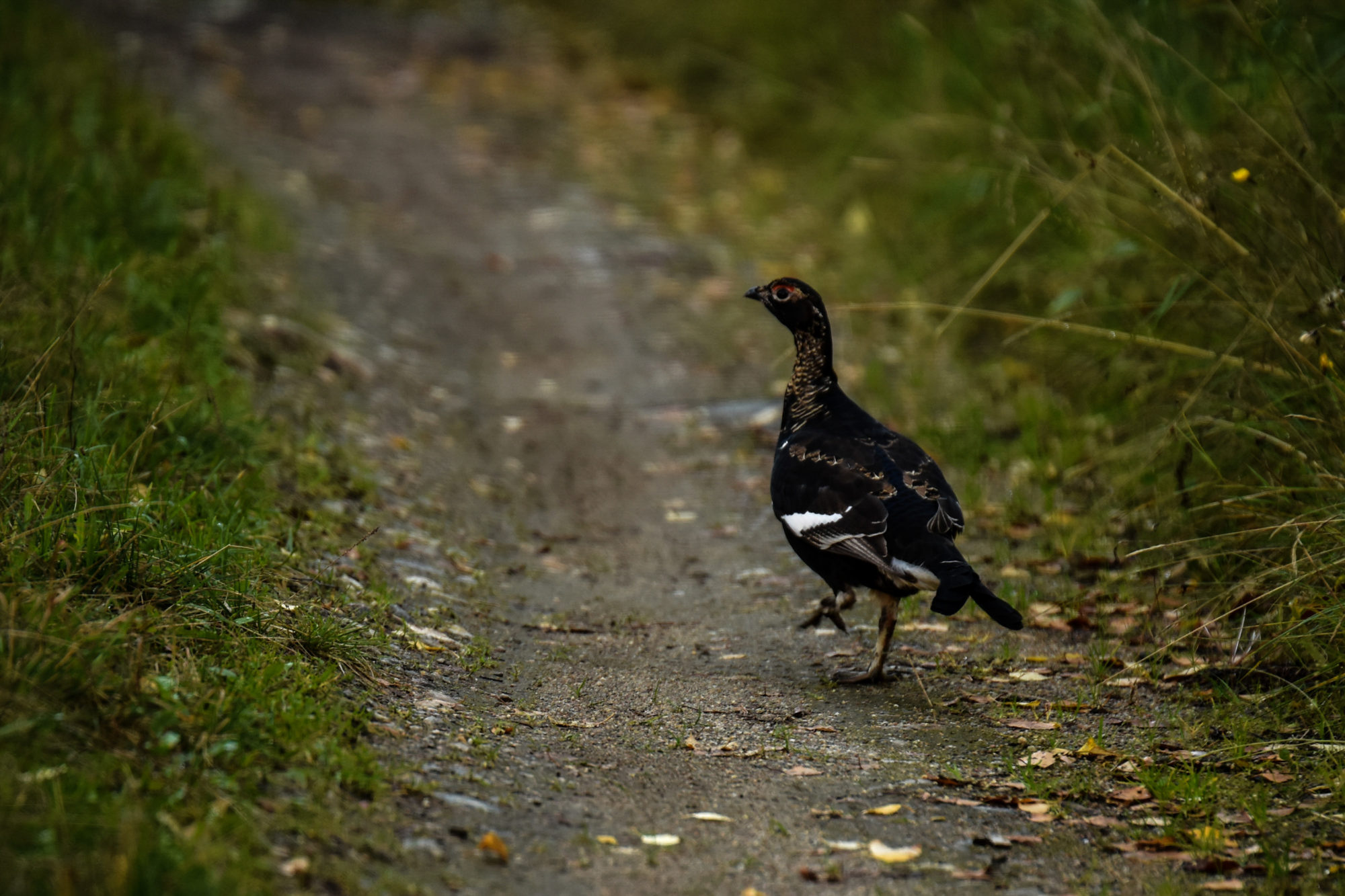 Valokuvaaja: Maija Savolainen