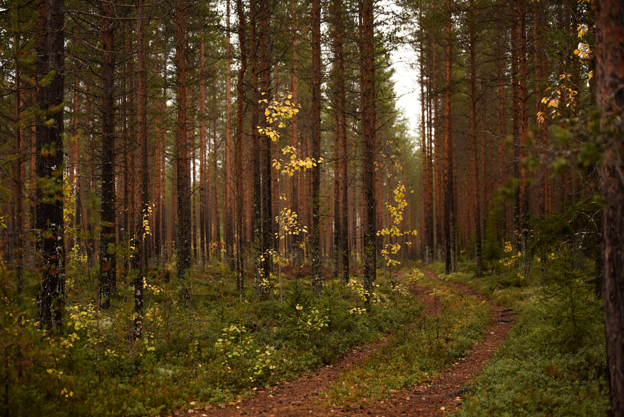 Valokuvaaja: Maija Savolainen