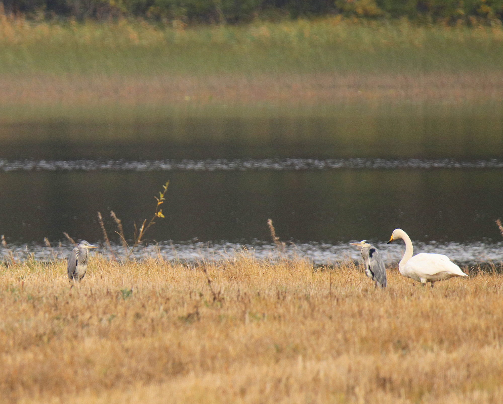Valokuvaaja: sirpa Jyske