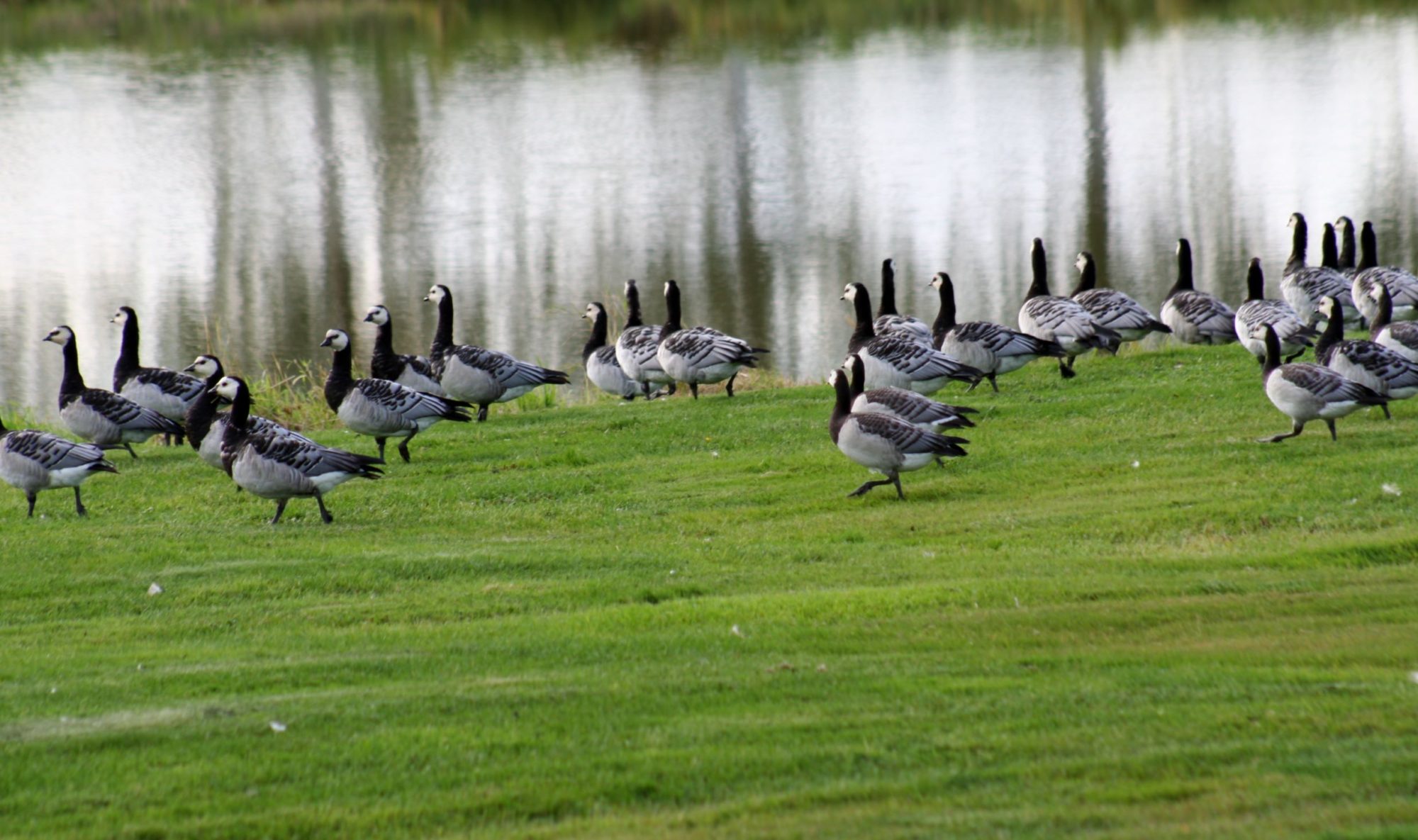 Valokuvaaja: Pirkko Siukonen