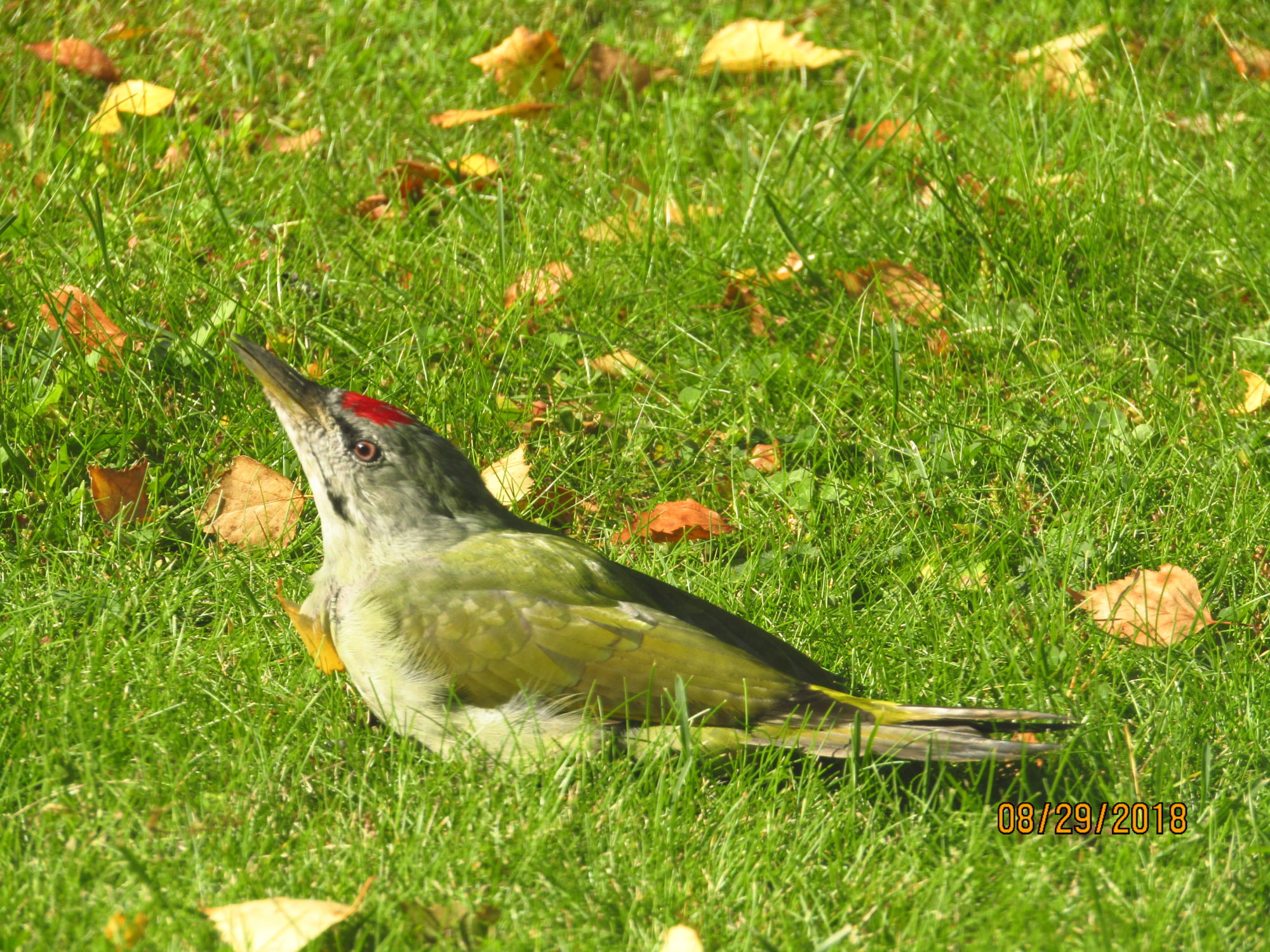 Valokuvaaja: Teija Matikka