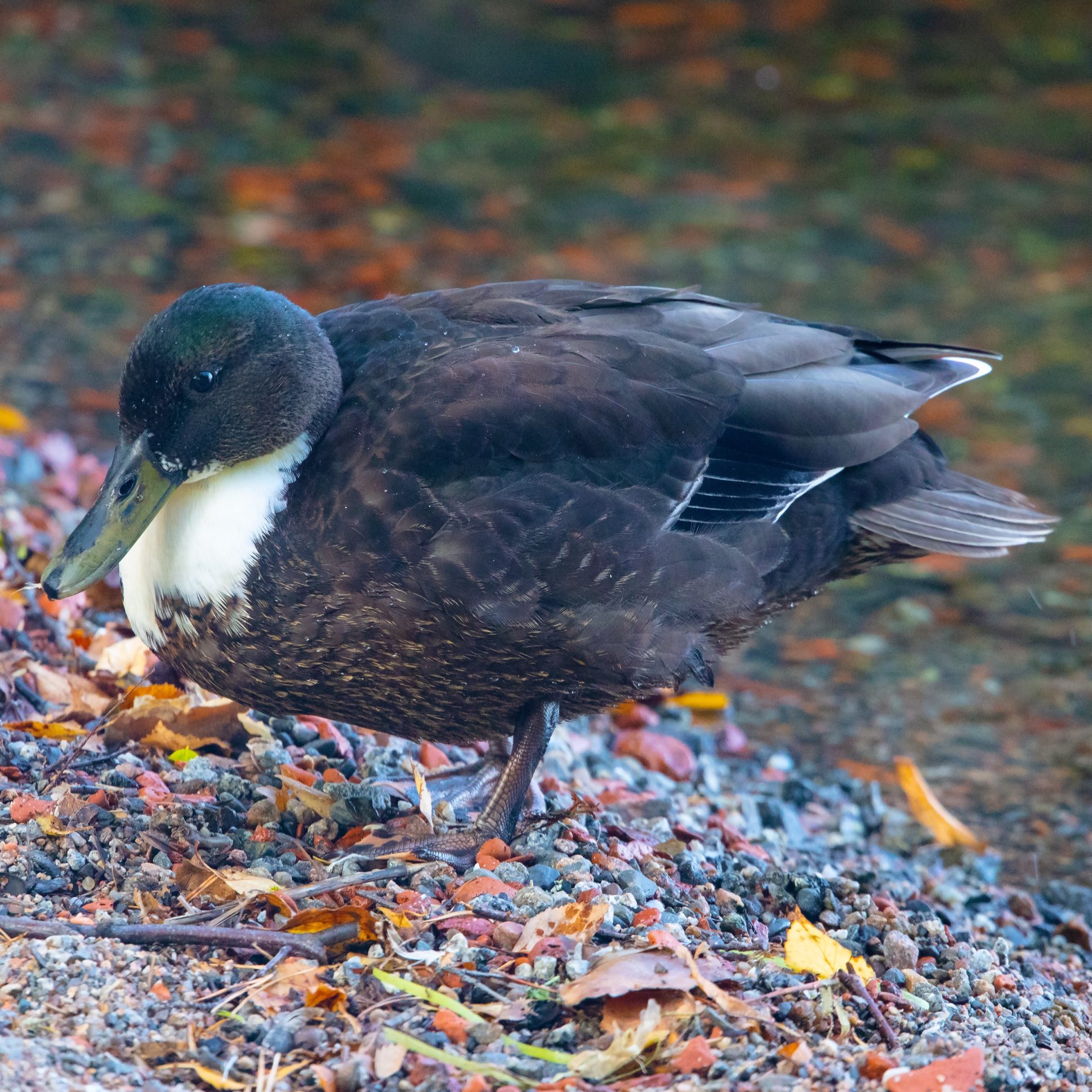 Valokuvaaja: Jarmo Sillanpää