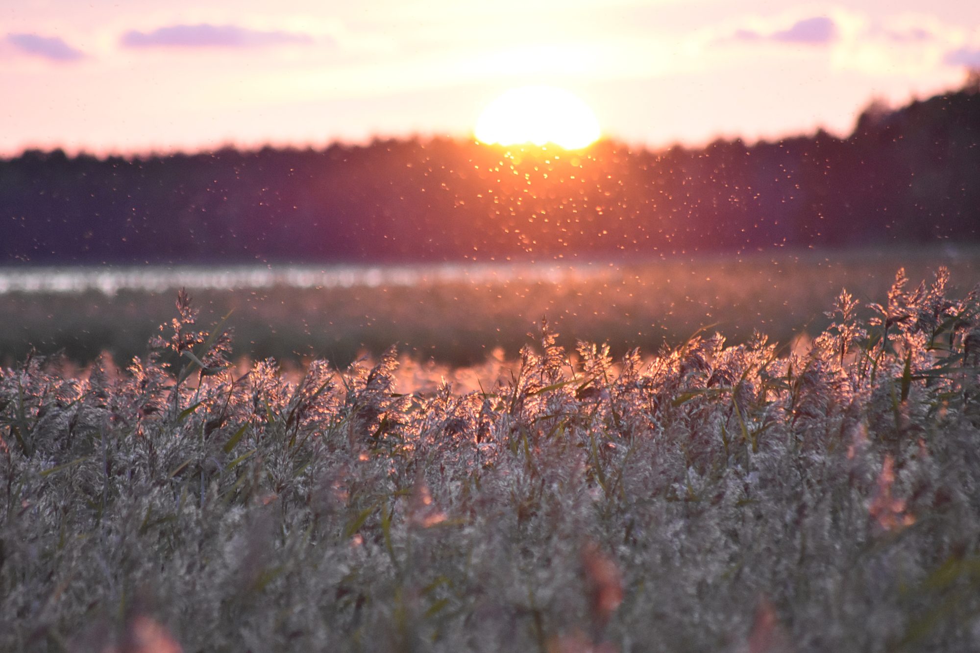 Valokuvaaja: Kati Wink