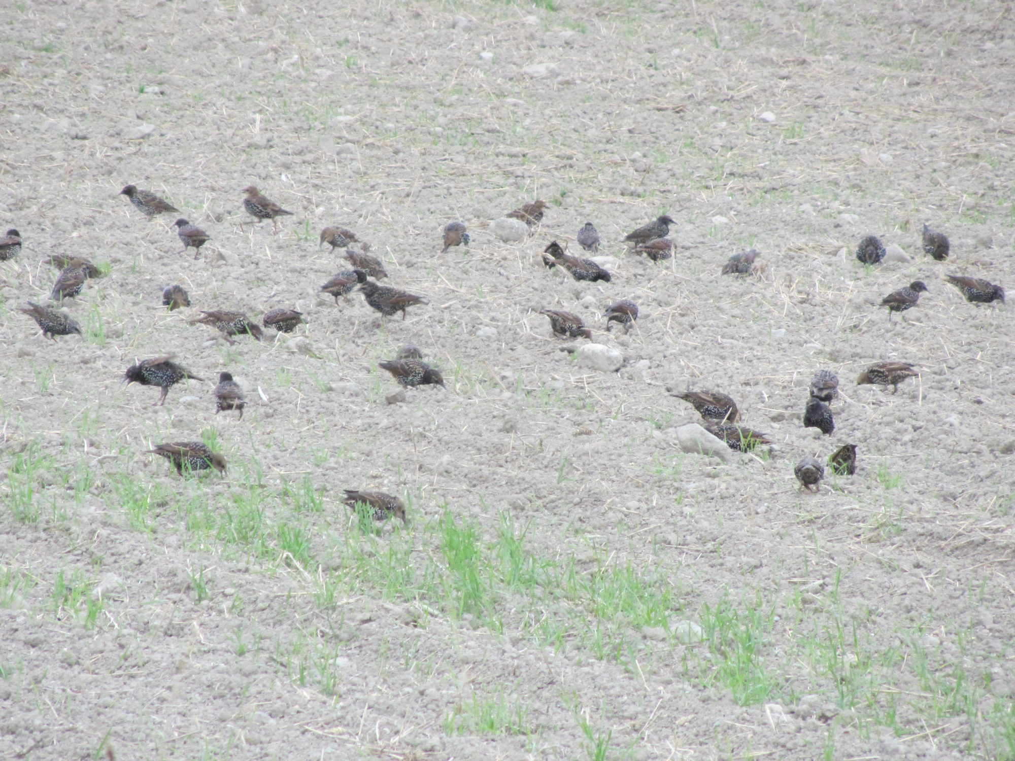 Valokuvaaja: Risto Kangassalo