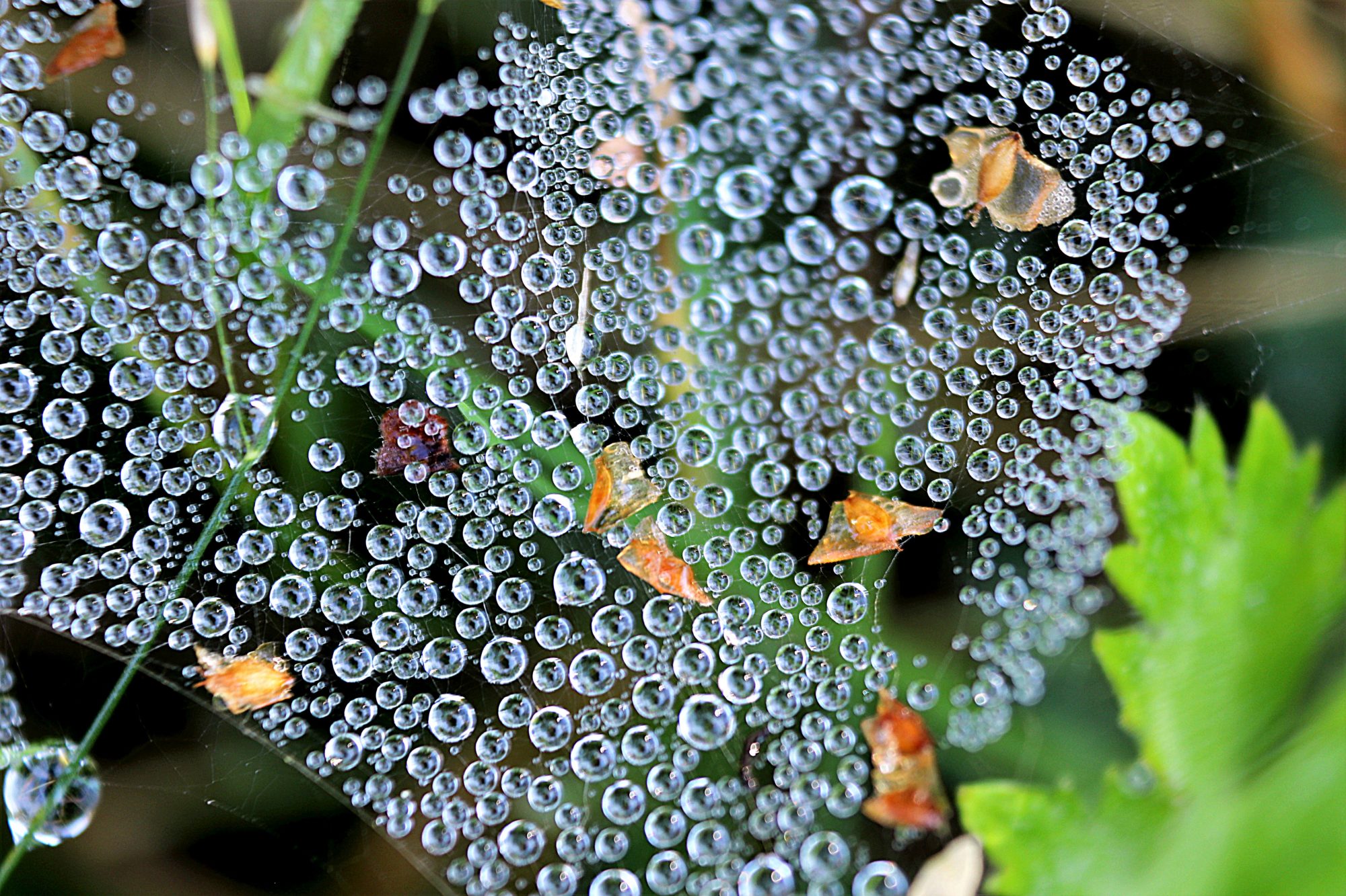 Valokuvaaja: Irja Lehtinen