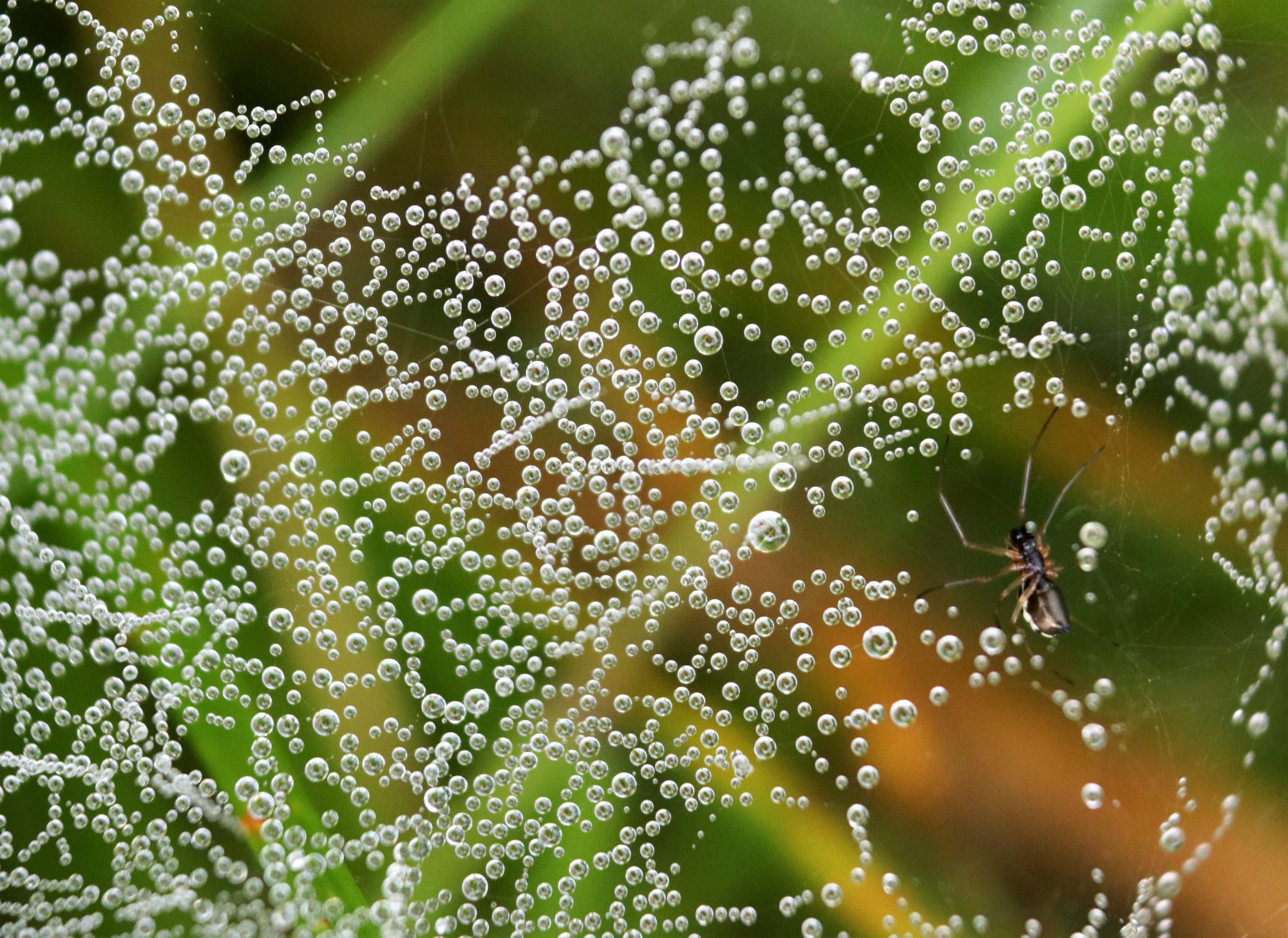Valokuvaaja: Irja Lehtinen Valokuvaaja: Irja Lehtinen