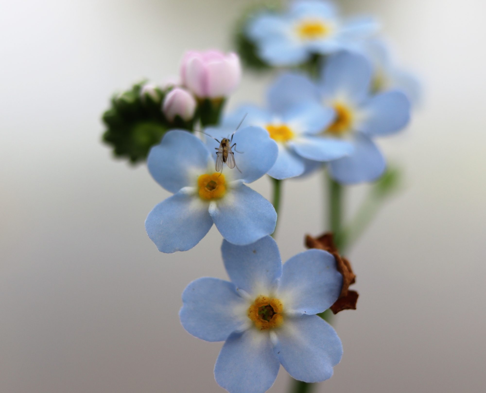 Valokuvaaja: Irja Lehtinen