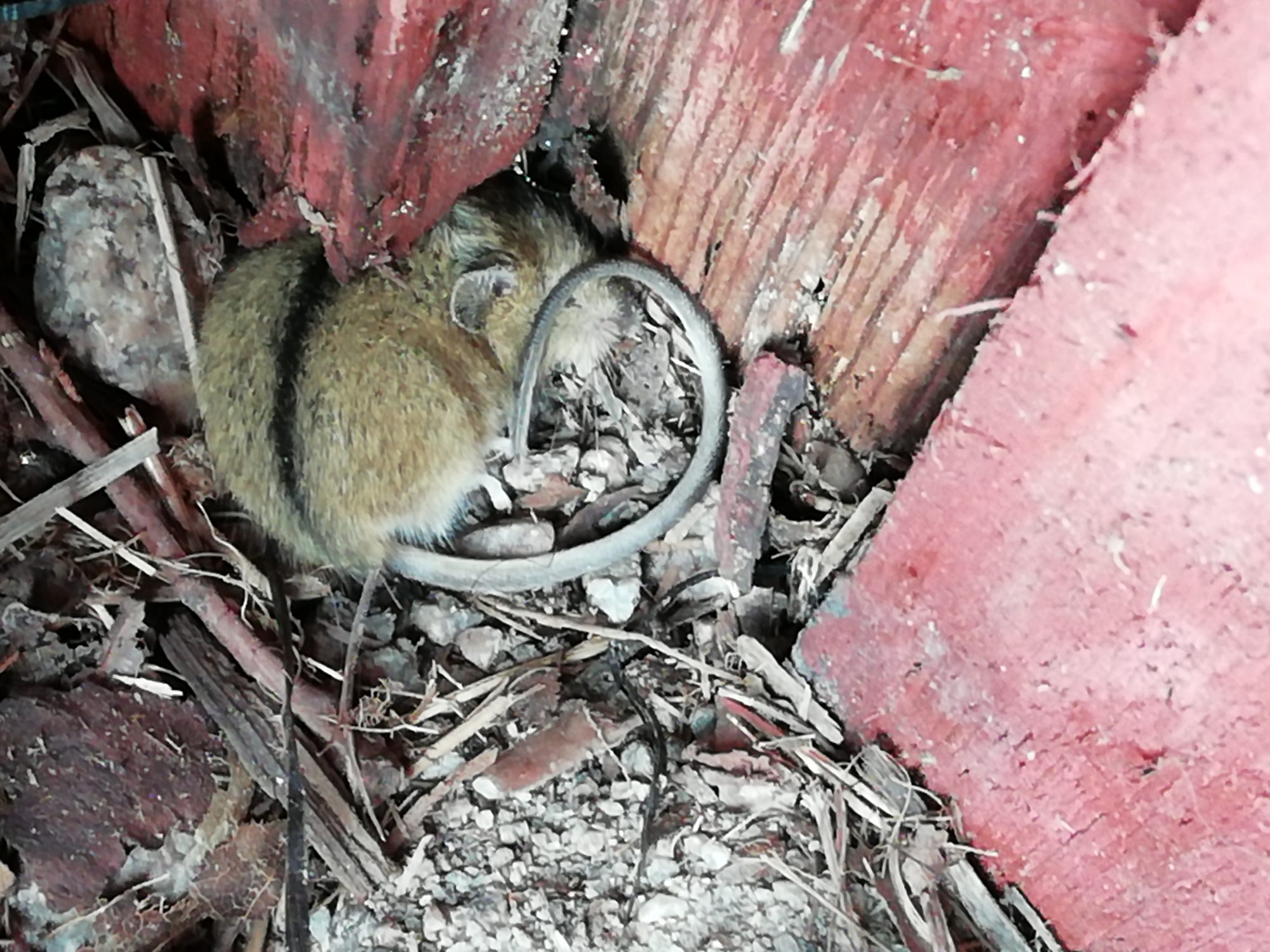 Valokuvaaja: Eeva Tuominen