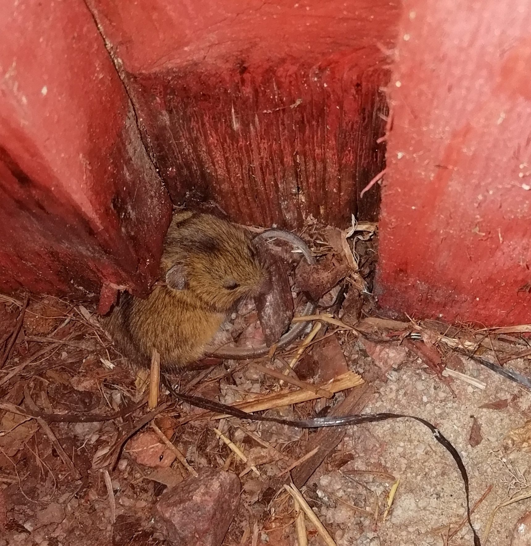 Valokuvaaja: Eeva Tuominen