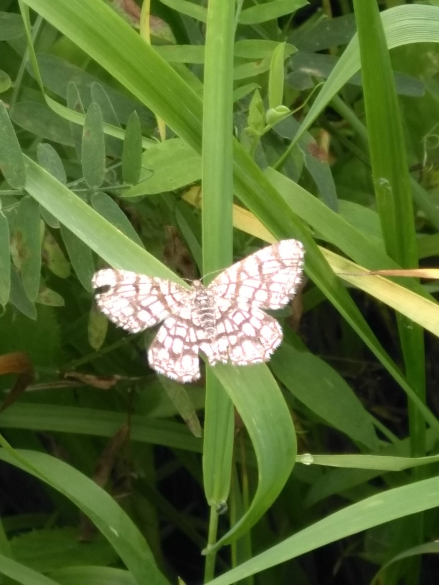 Valokuvaaja: Seppo Tahvanainen