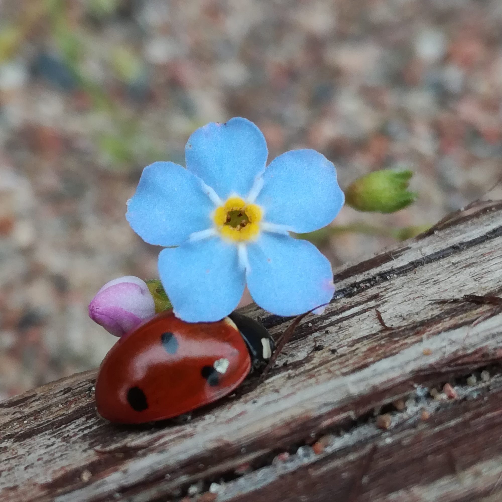 Valokuvaaja: Riitta Marjamäki